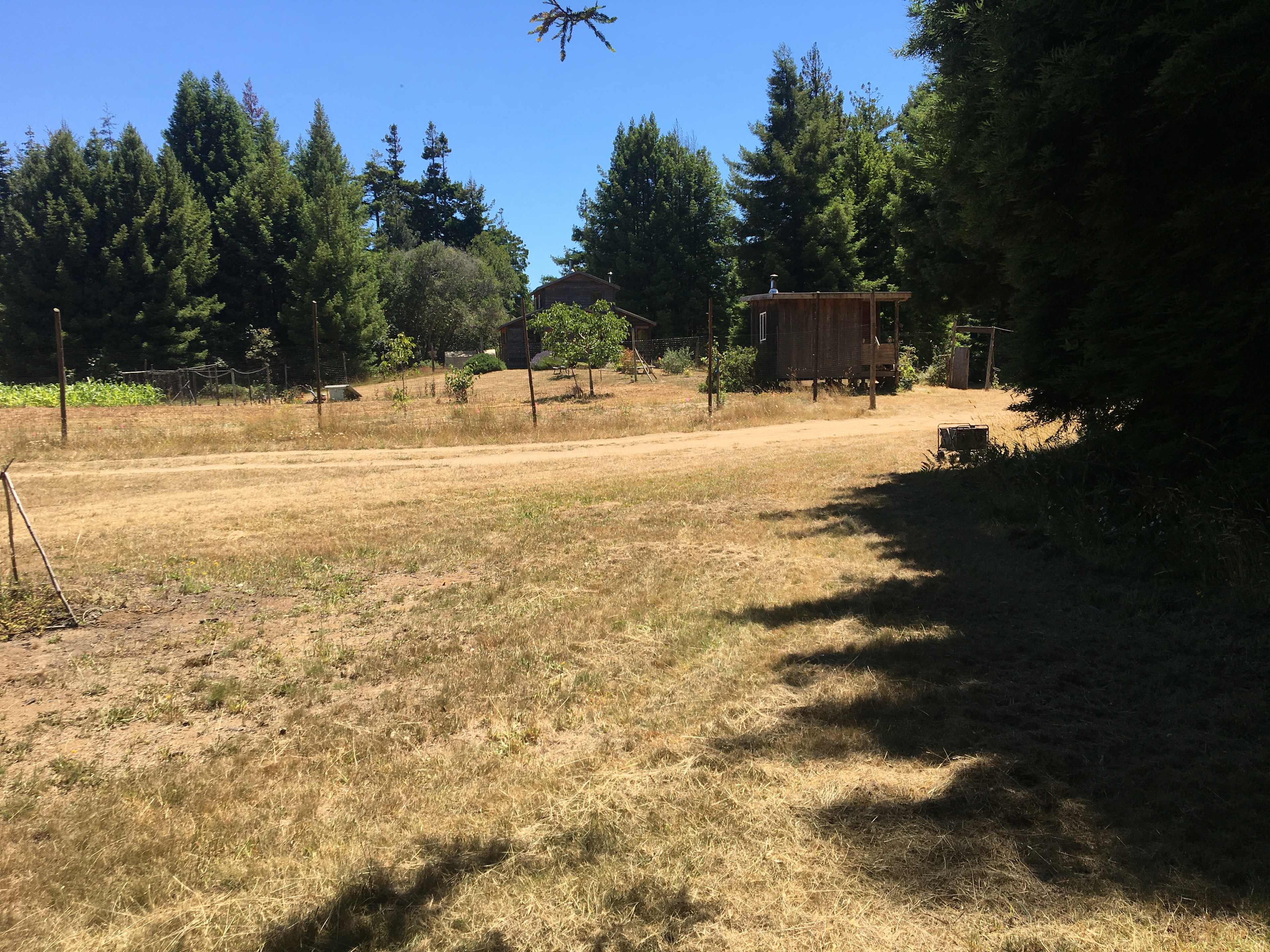 Meadow Farm & Forest