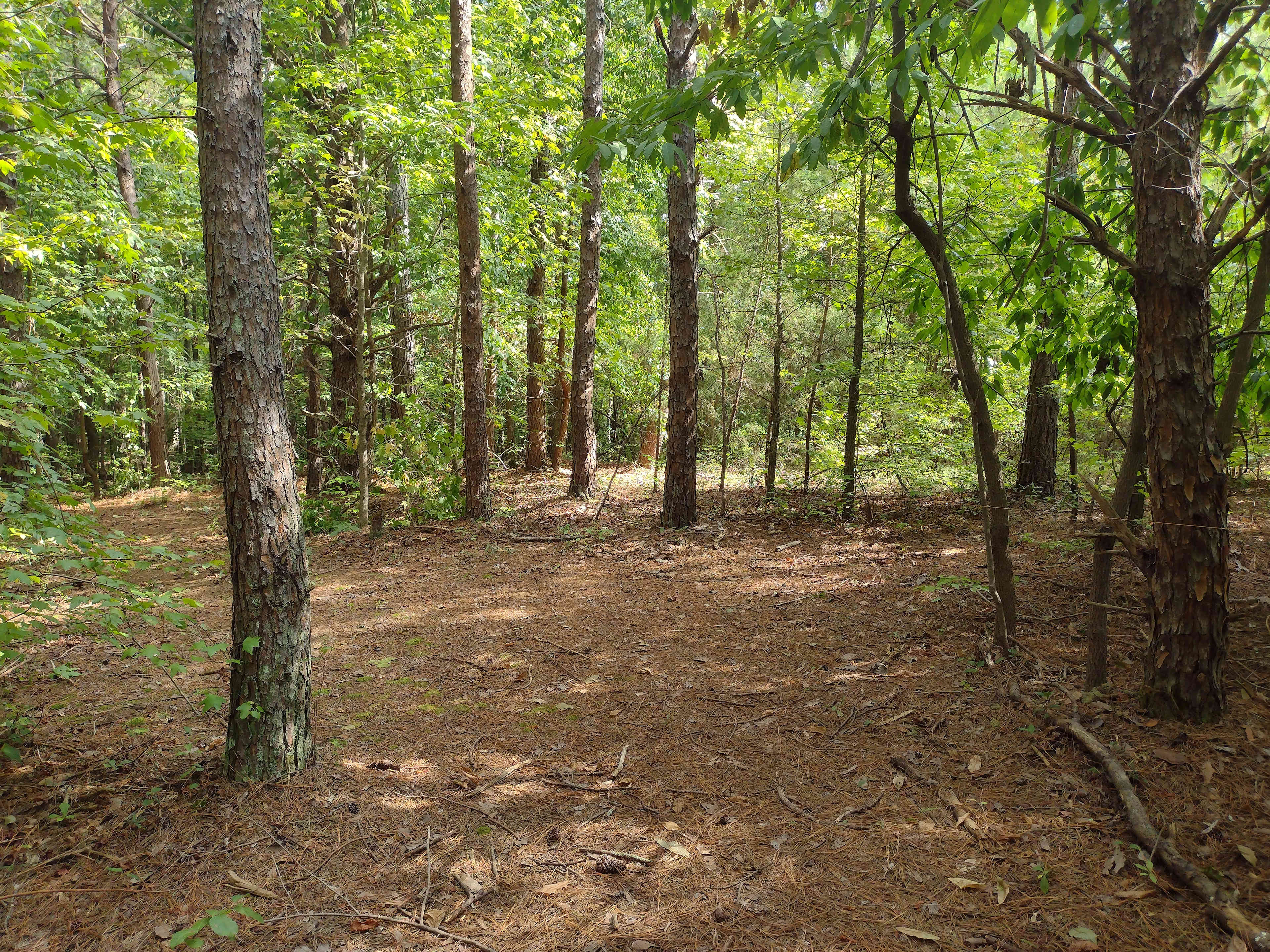 3 Creeks Camp and Nature Preserve