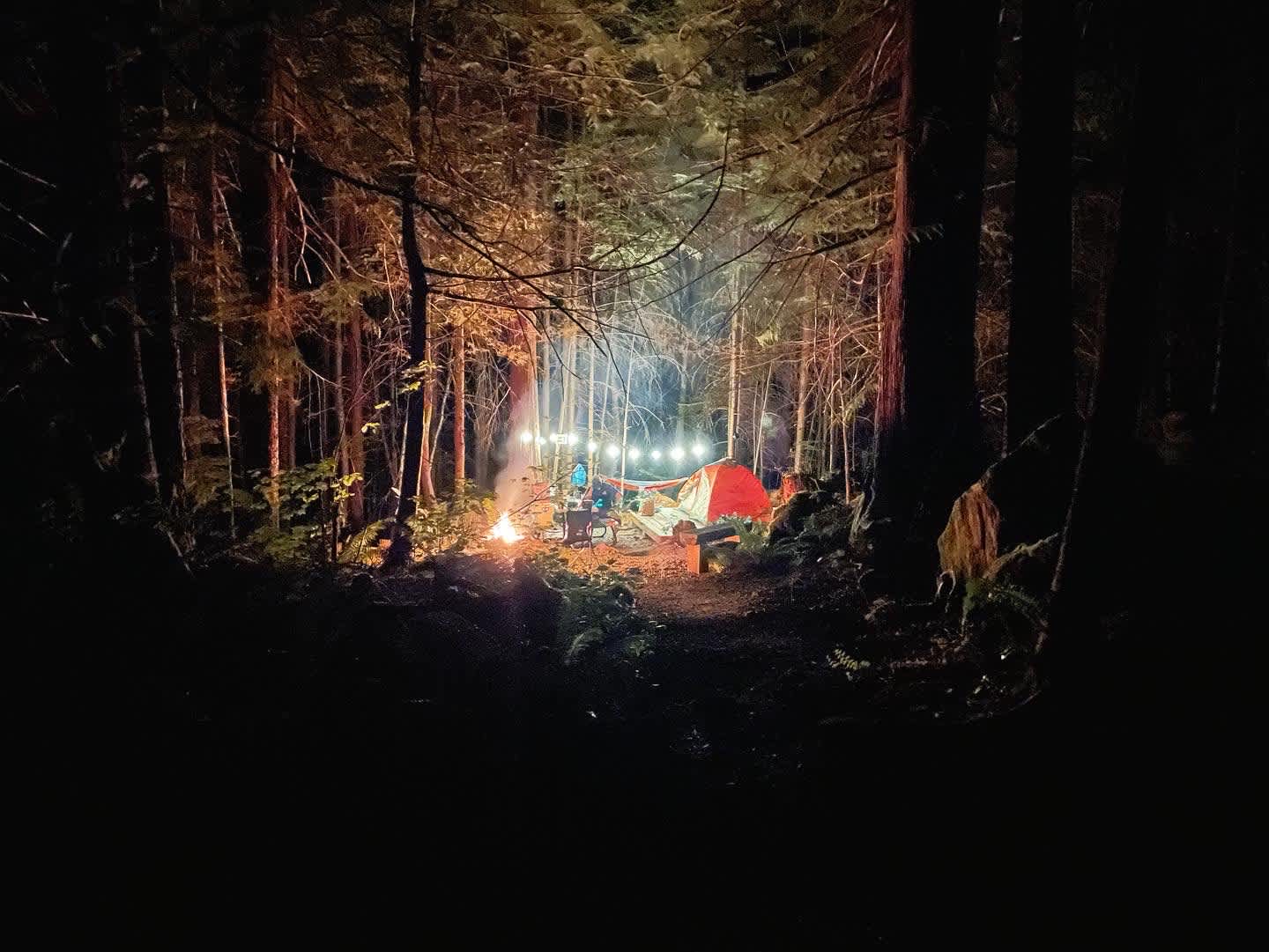 sol duc rainforest retreat