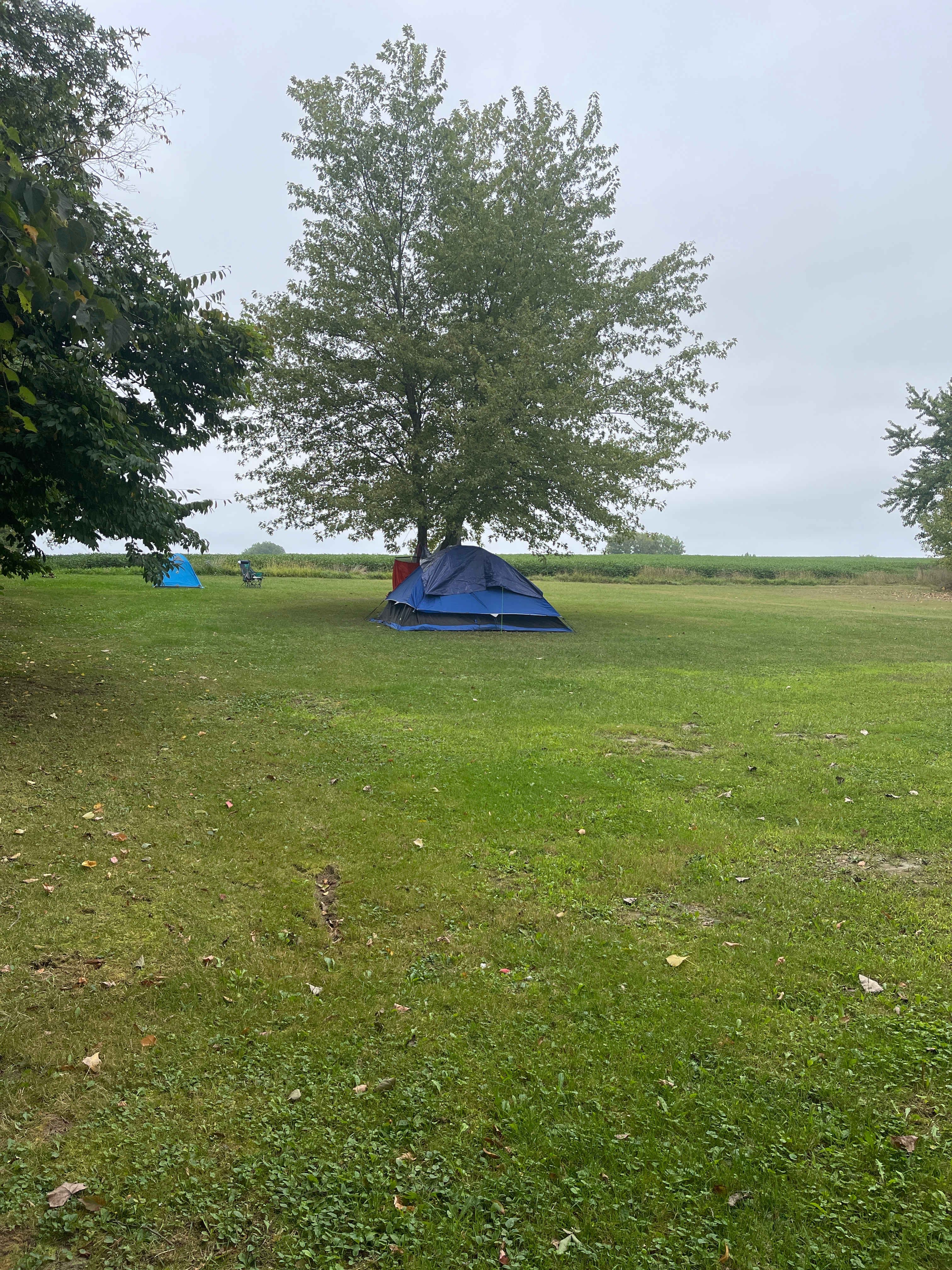 Camping behind the barn available