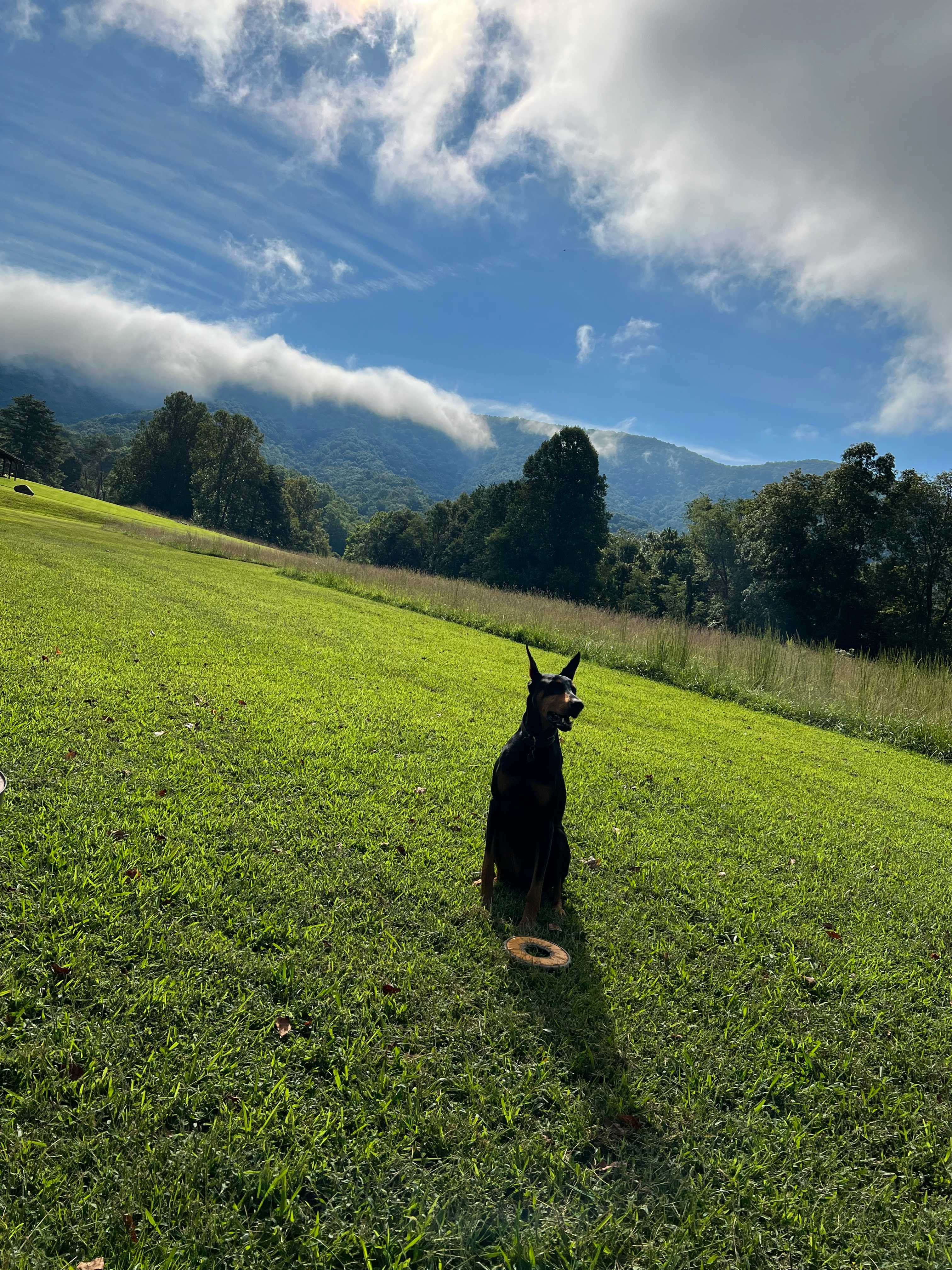 Bluestone Camp & Retreat