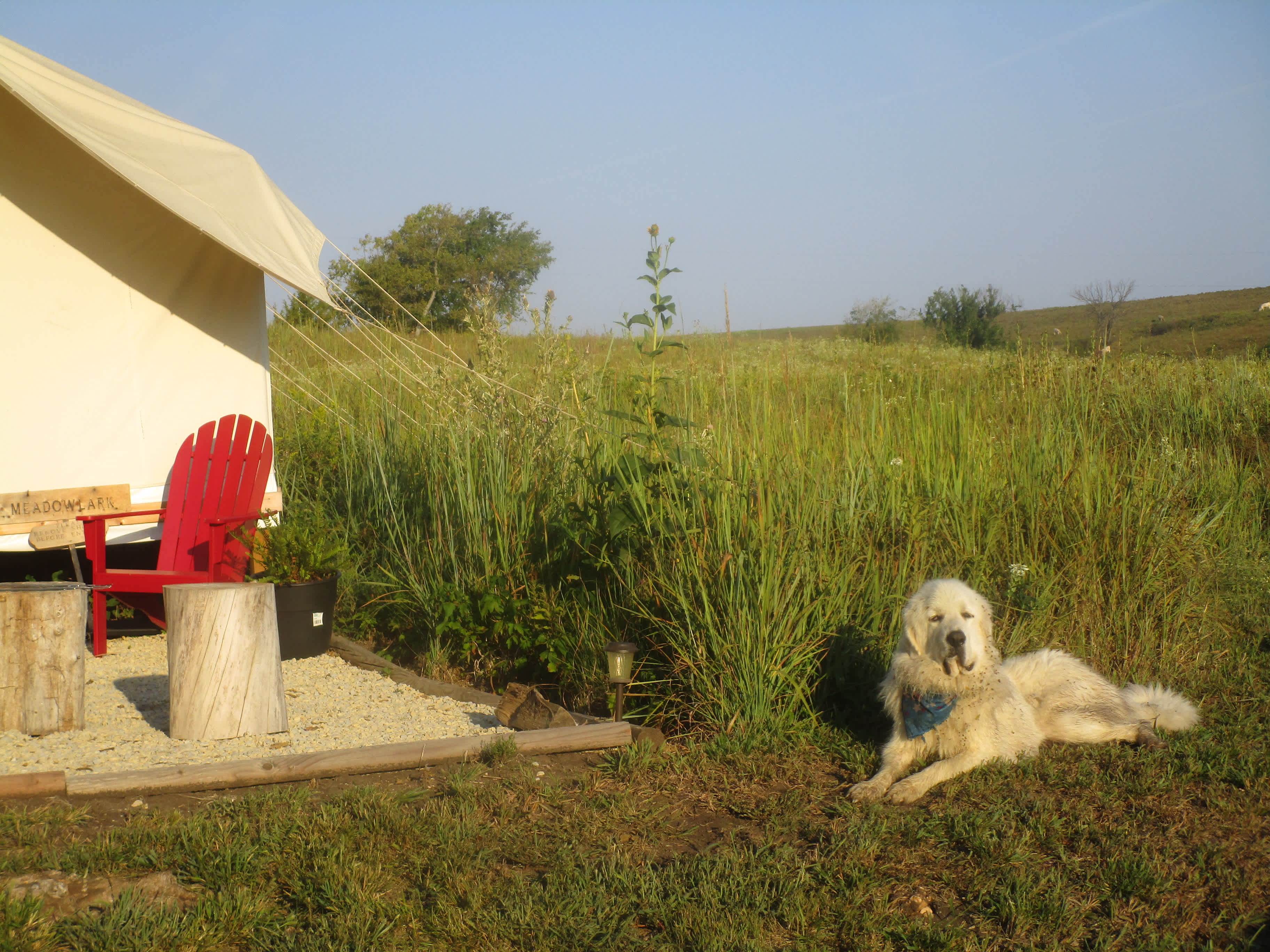 Charlie at his post