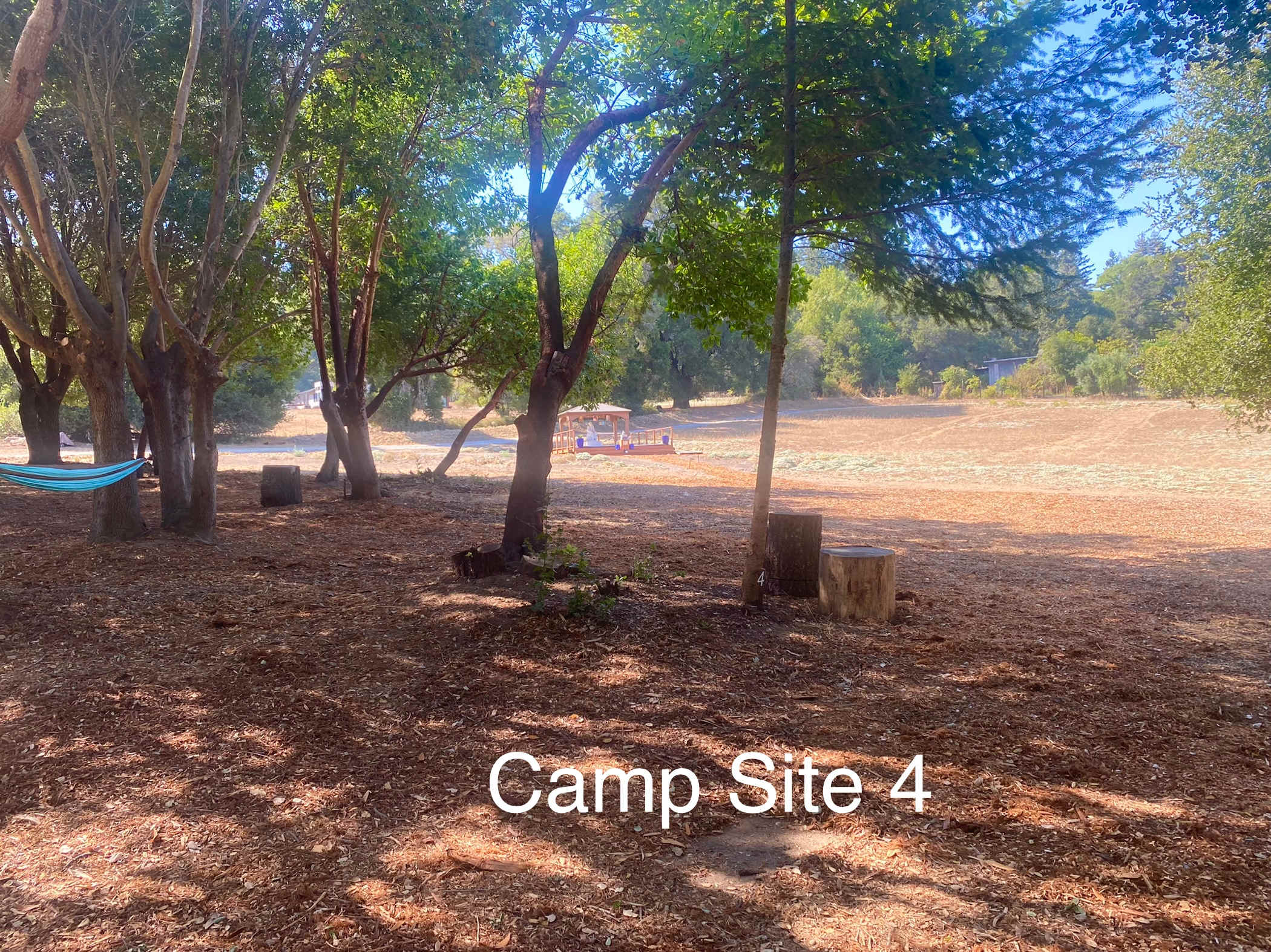 Felton Open Space Camp Sites