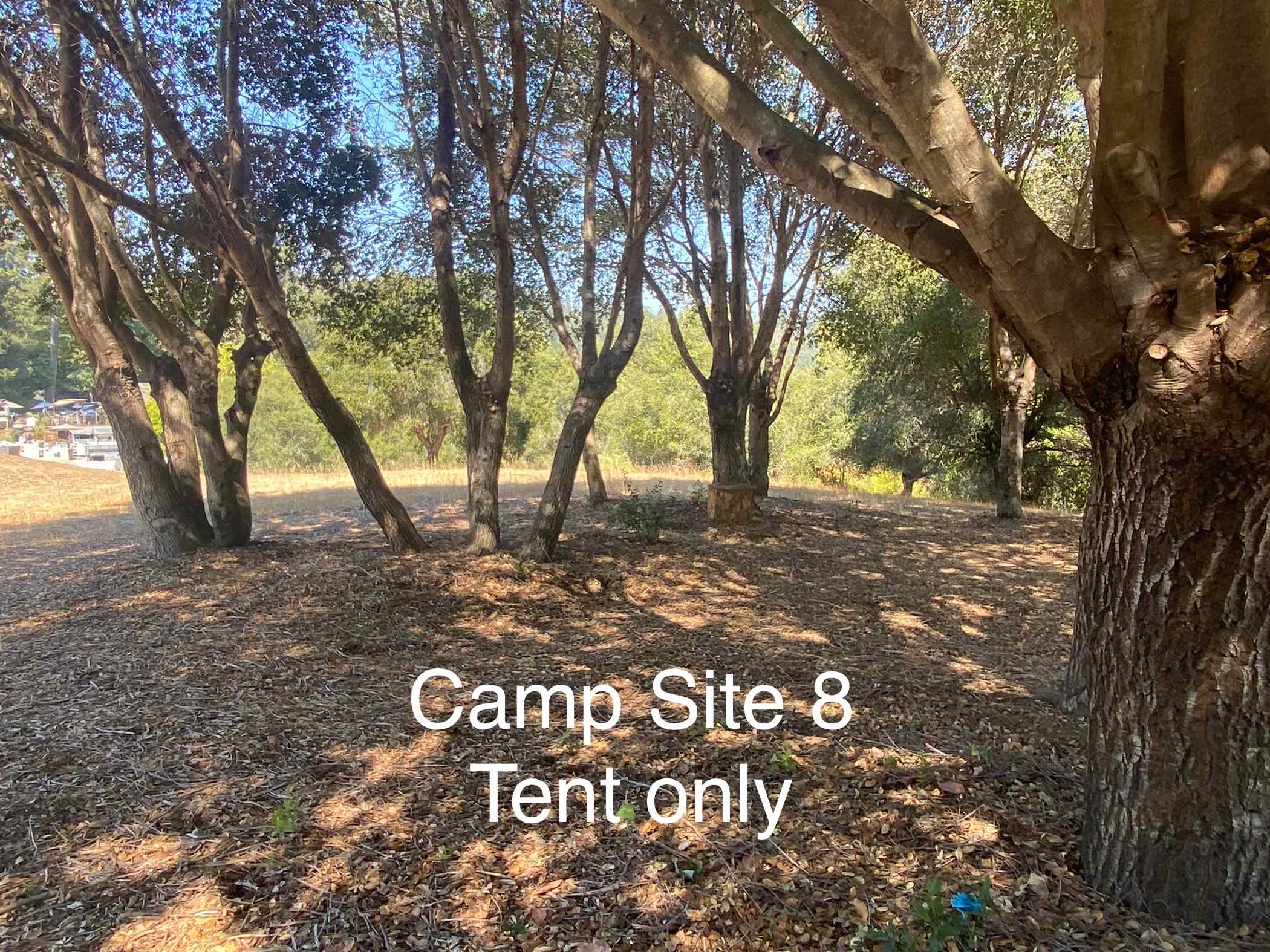 Felton Open Space Camp Sites
