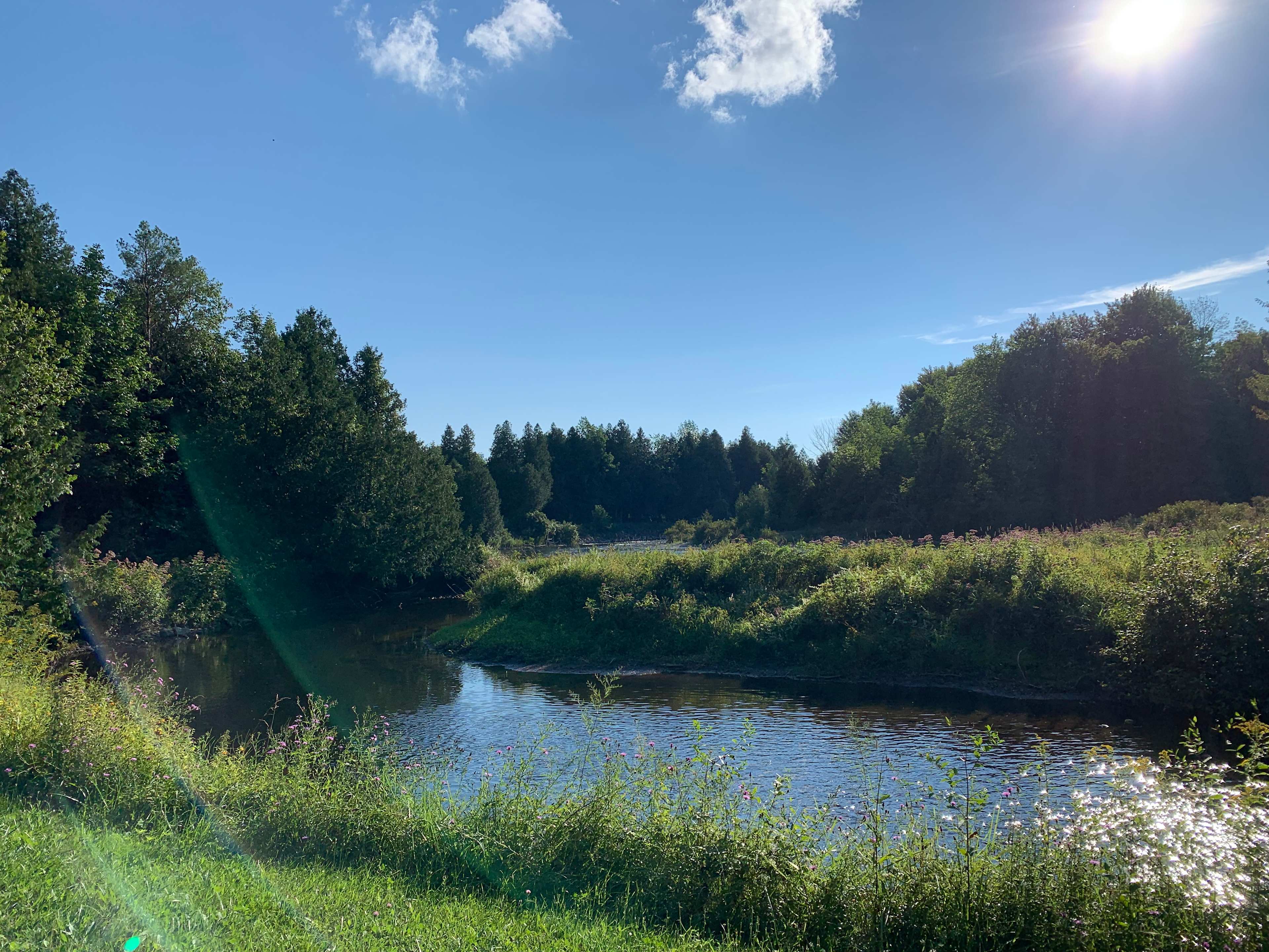 Beaver Ranch