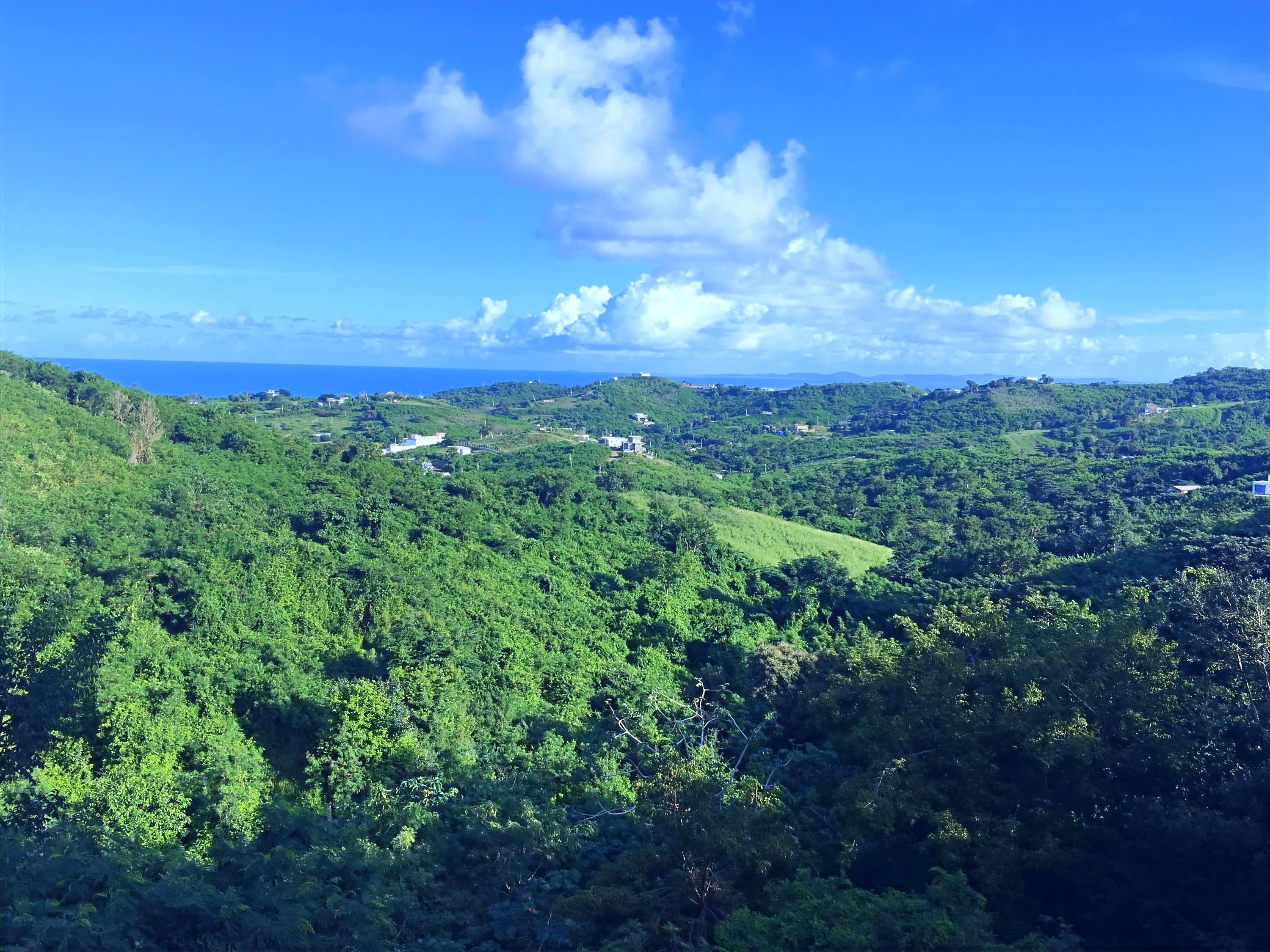 View from the cabin