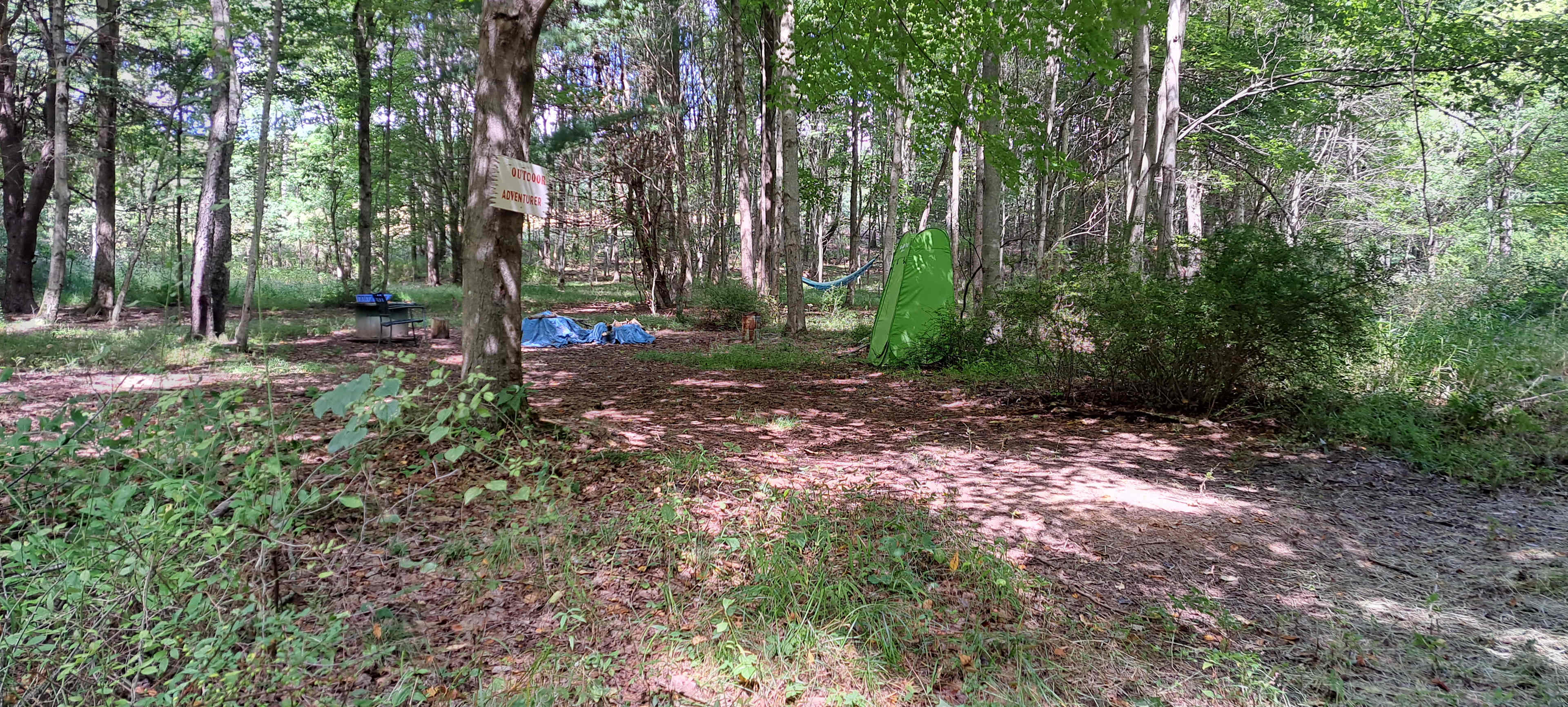 Hammock, chair, firewood kindling under tarp, spool table provided, grill for in firepit, and a log for chopping kindling .