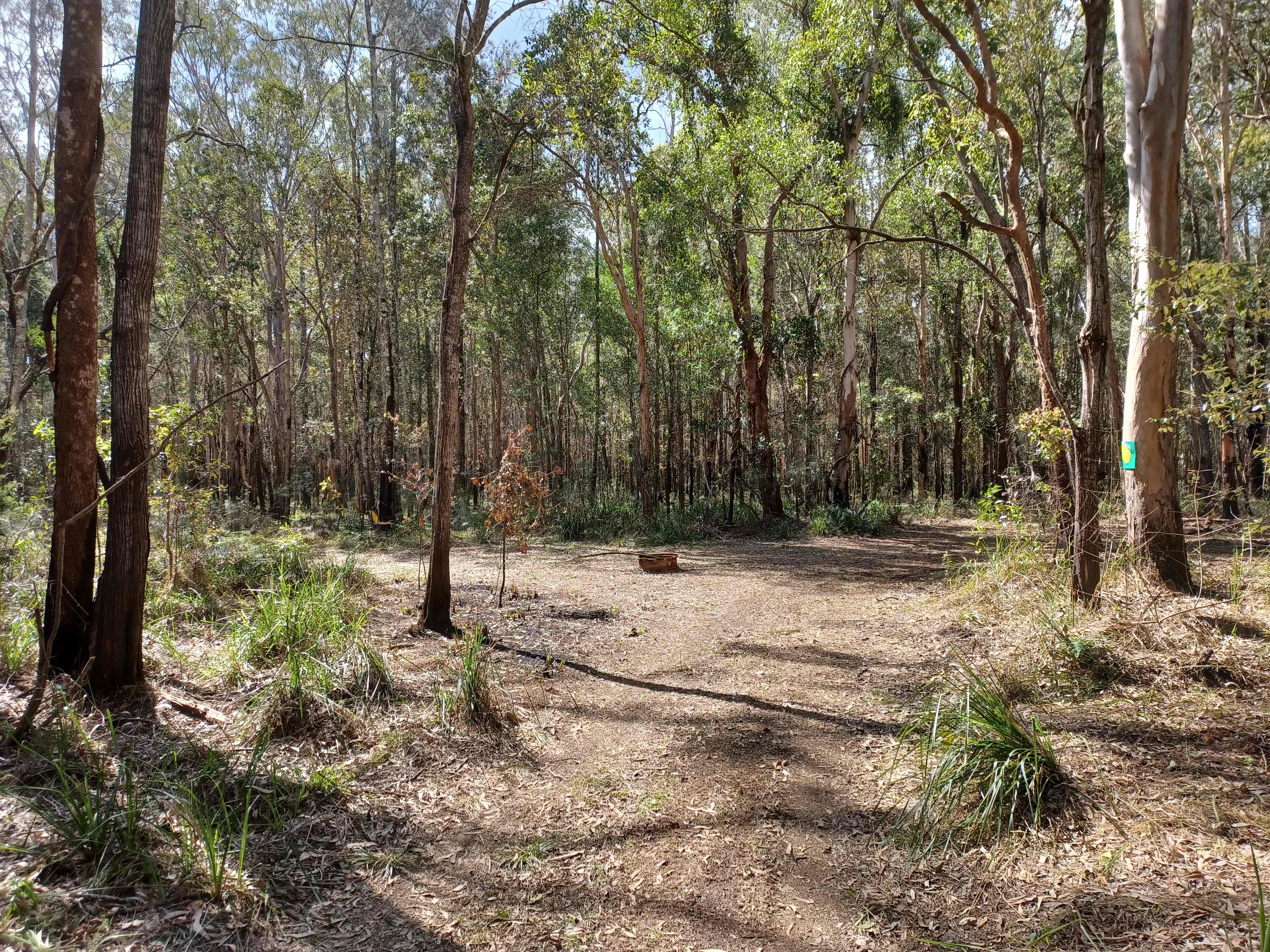 Camp site in the bush
