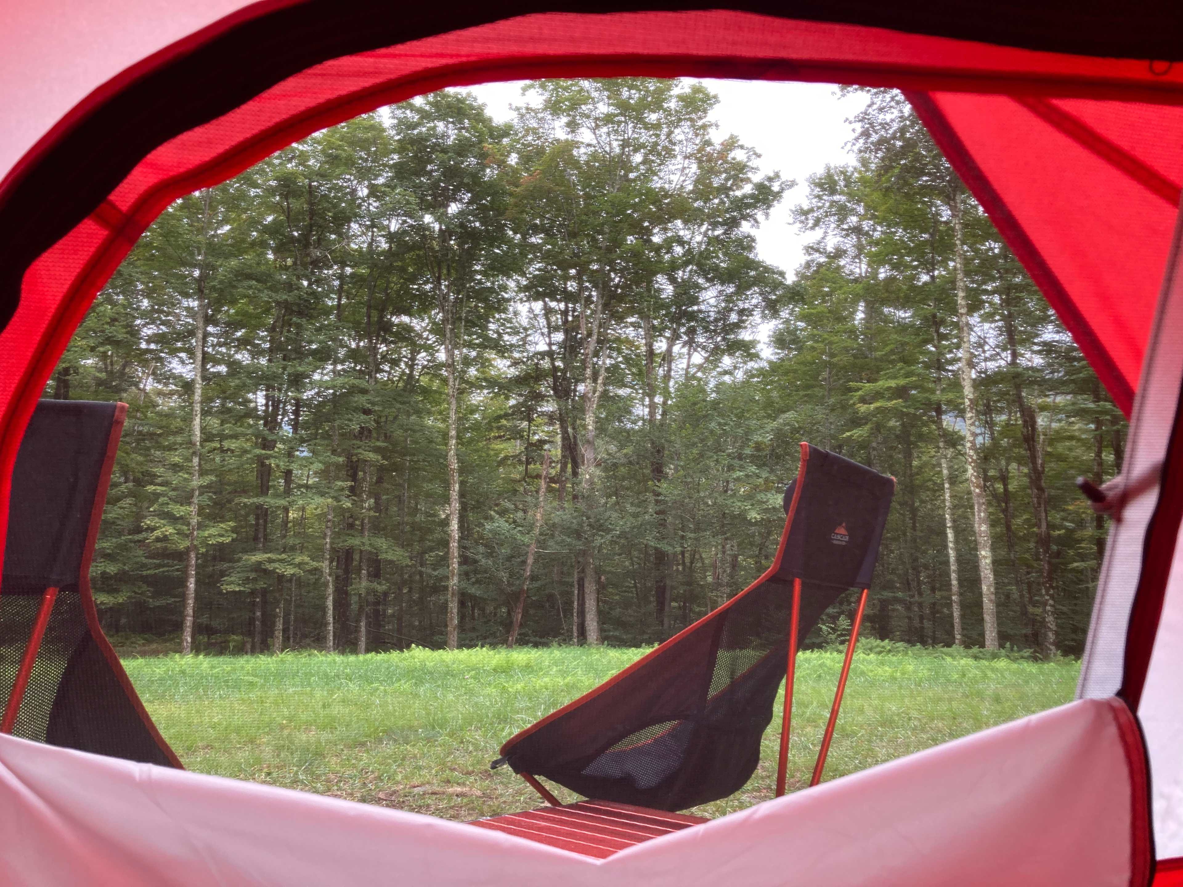 View of the Meadow in the morning from our tent.