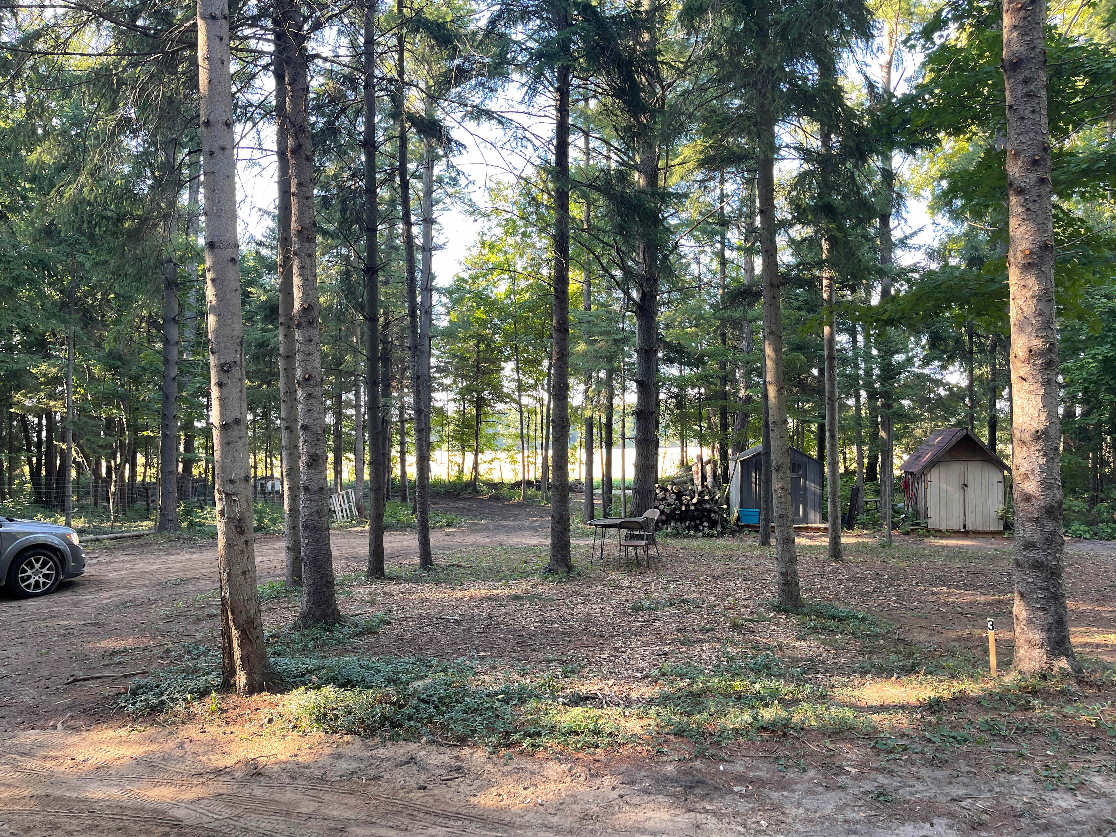 Picture of the site
