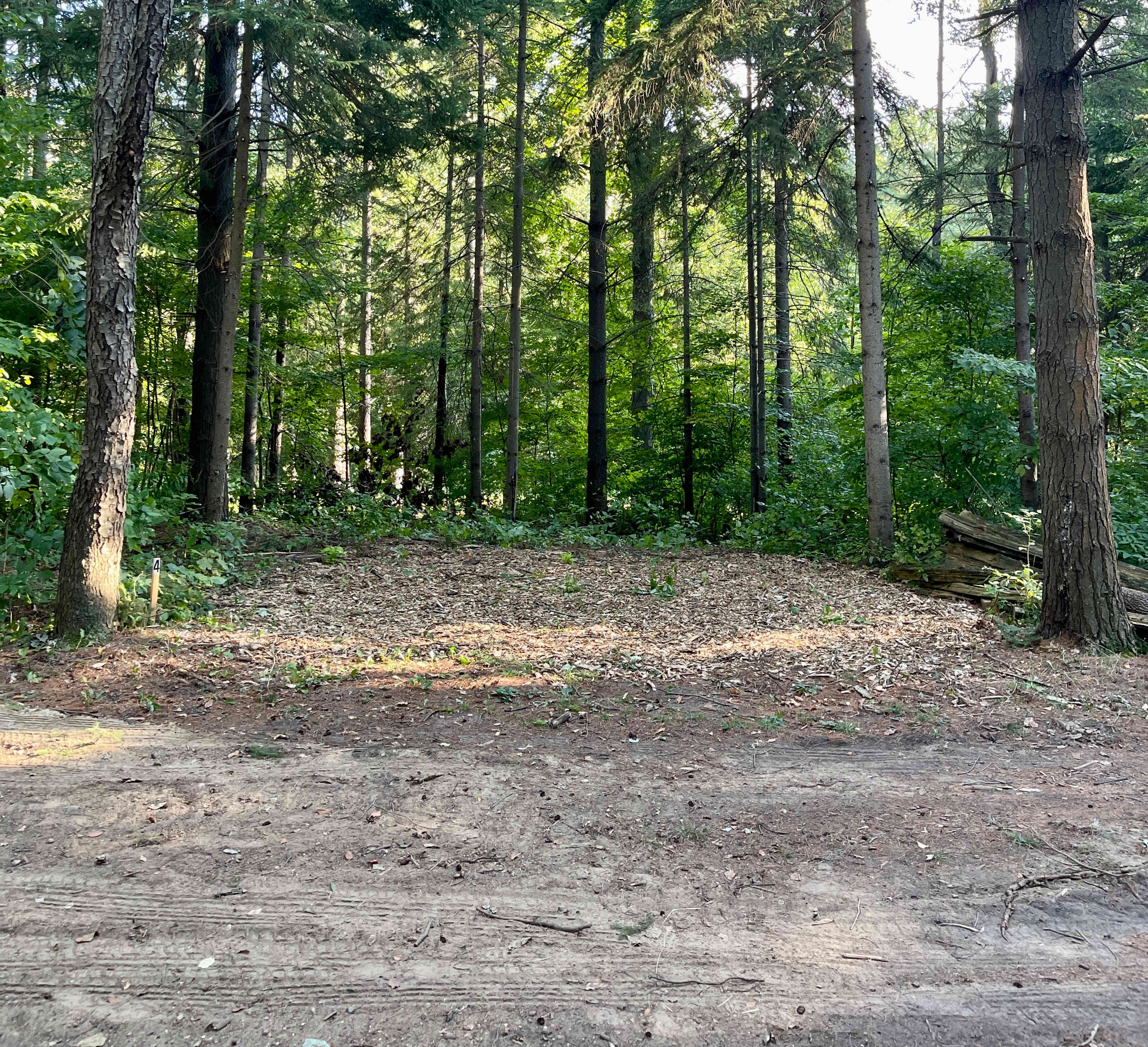 Picture of the site