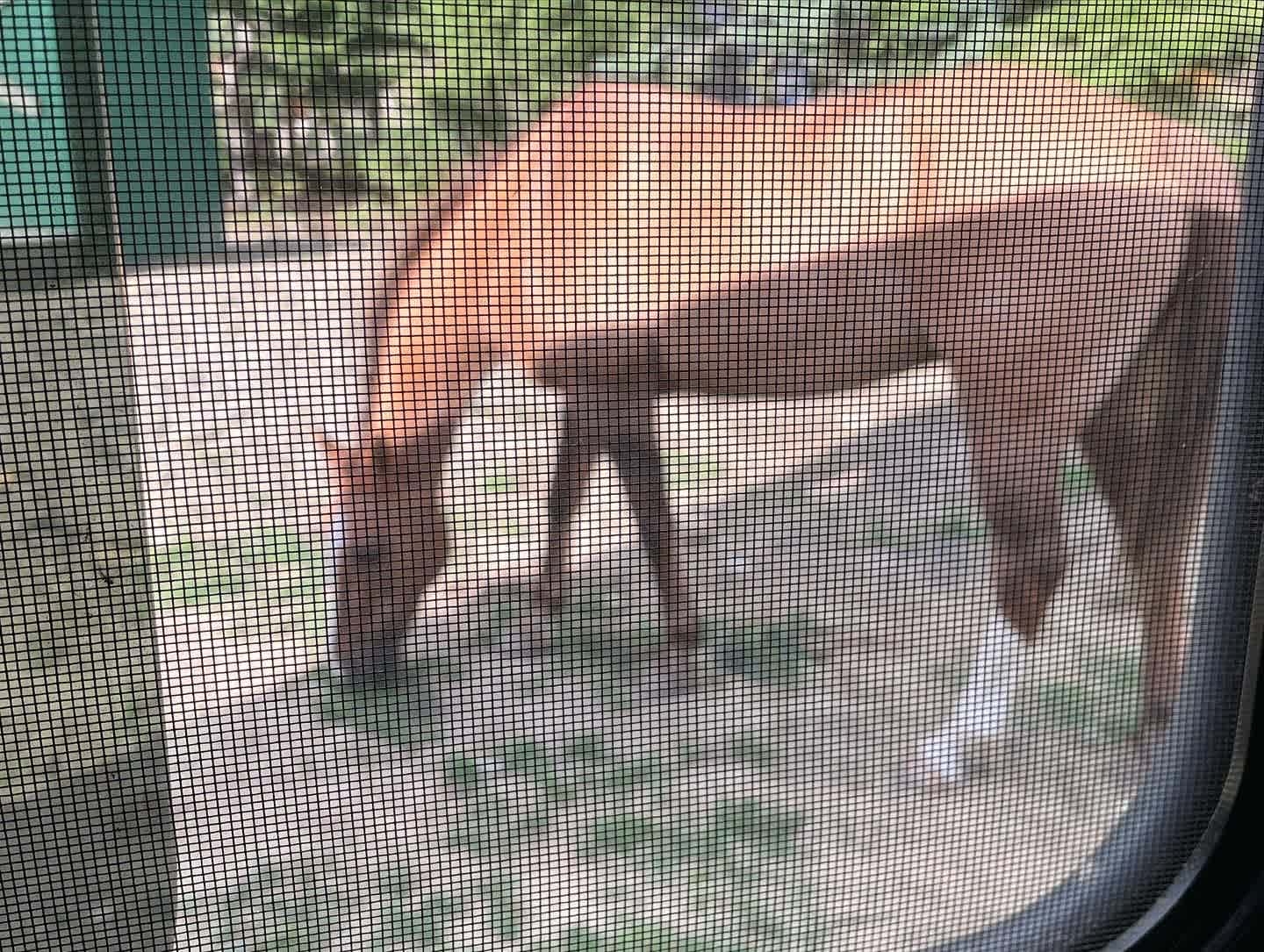 The Back 40 Ranch
