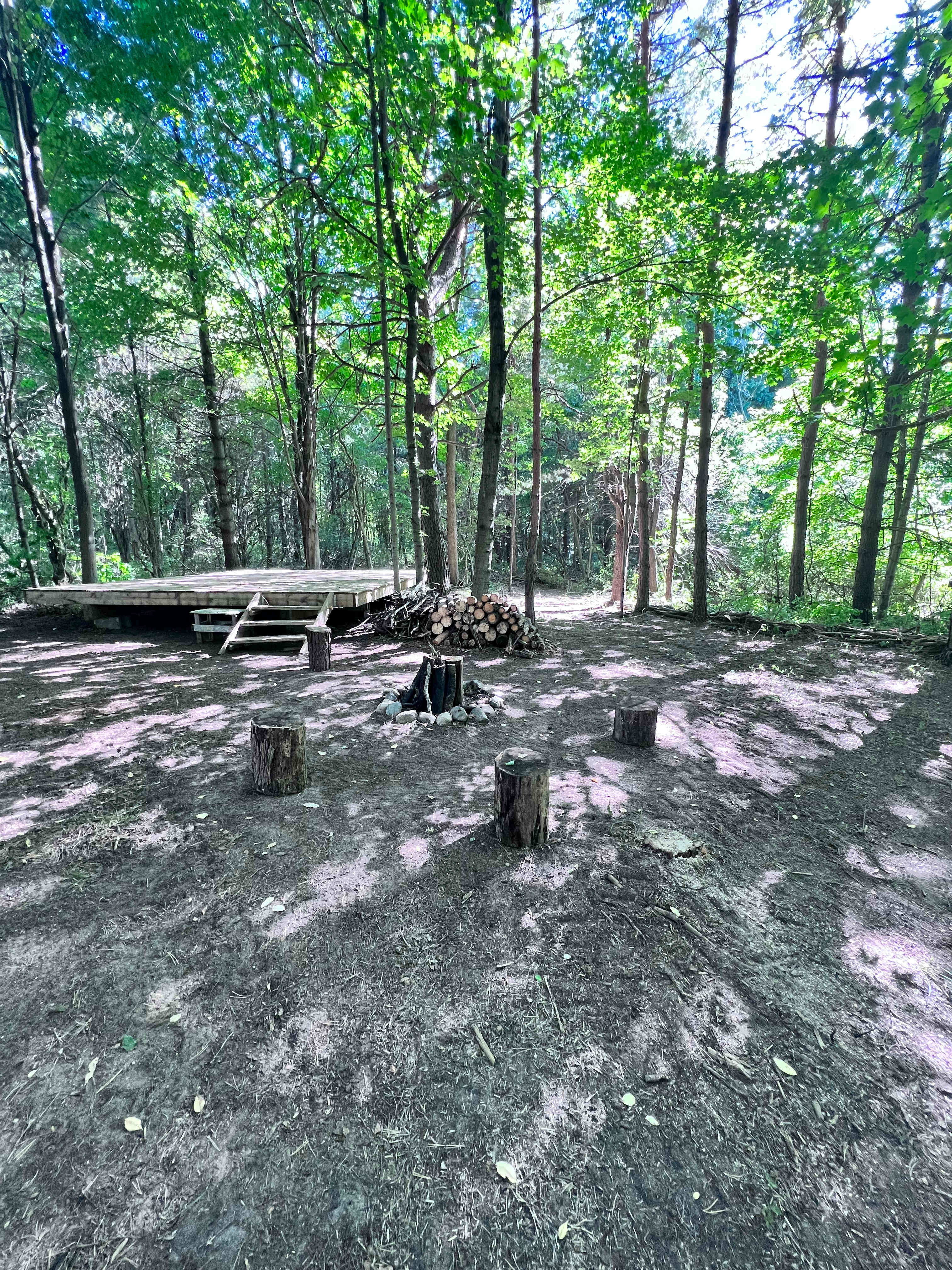 Picture of the site