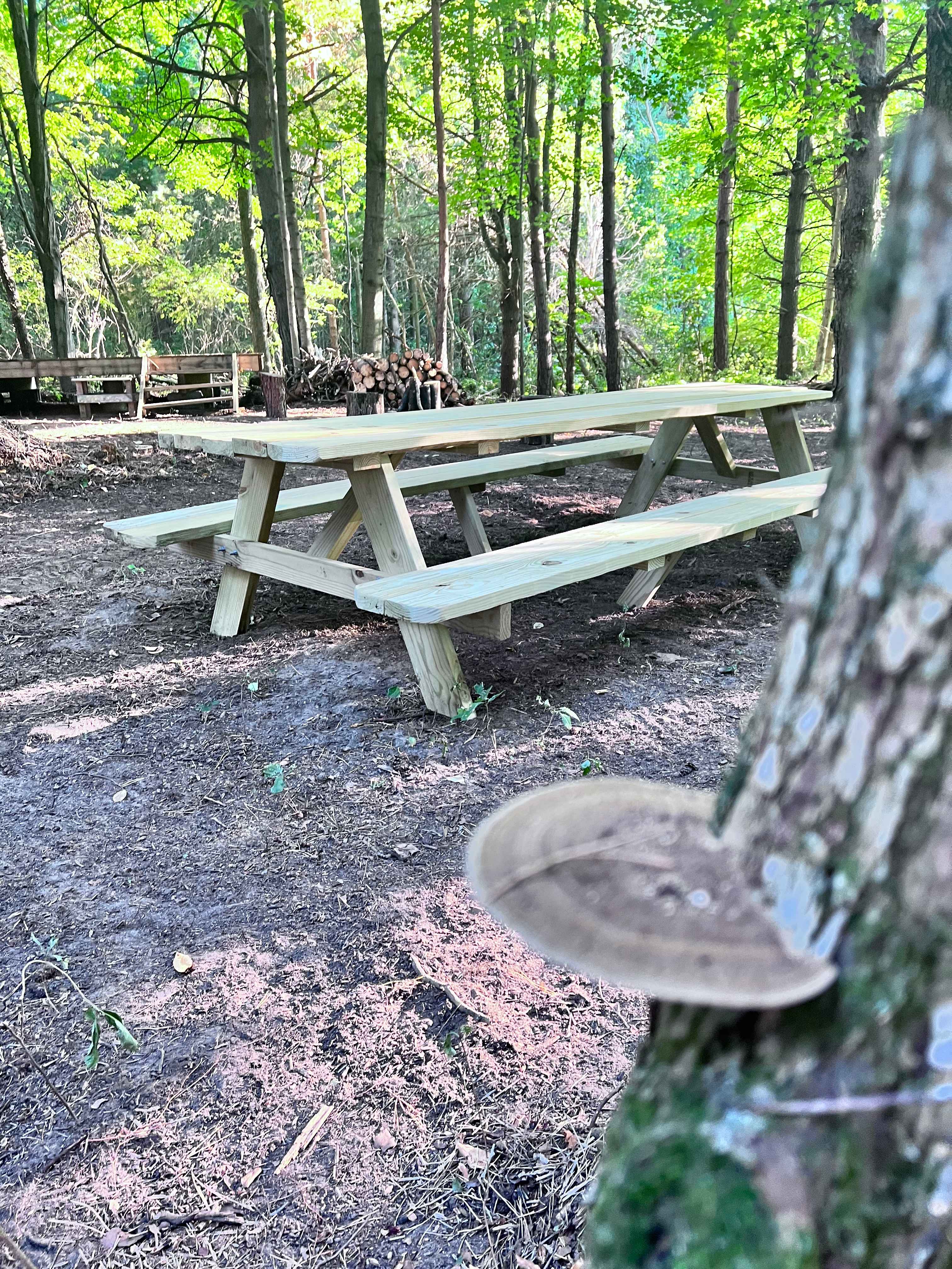 Thousand S.’s Land