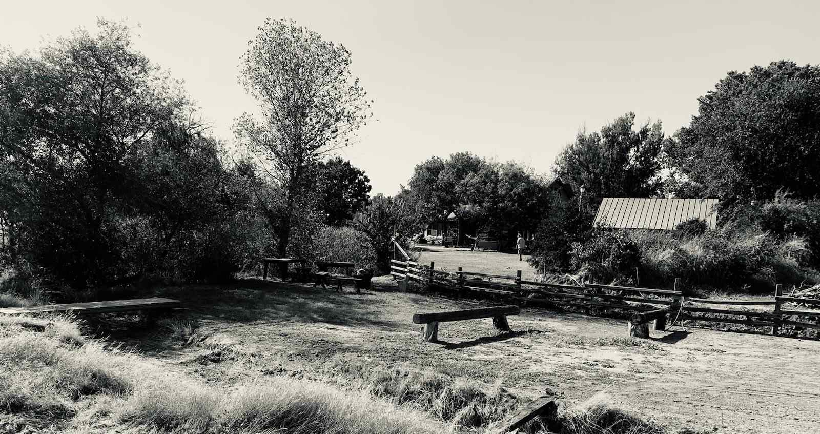 The Foxes  Family Farm