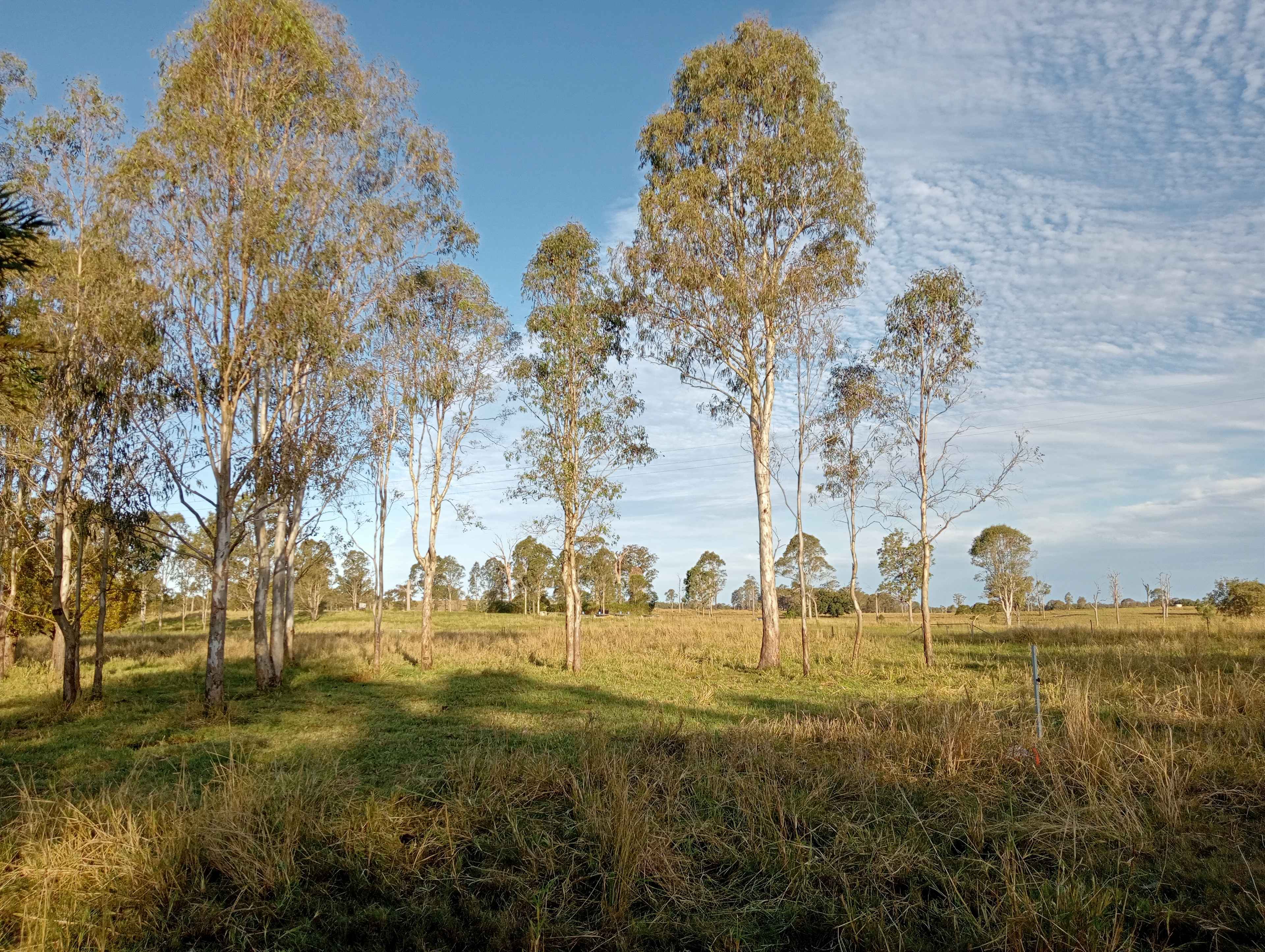 Gracemere Farmstead Camping