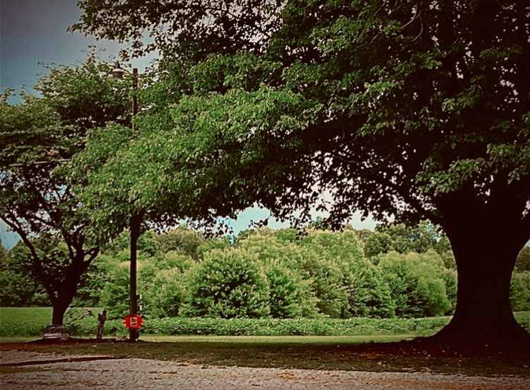 Beautiful RV site in rolling Western Kentucky farm country. Close to all amenities, Paducah and I-24.  Both  30 amp and 110 outlets, water spigot, hot tub and outdoor shower. 