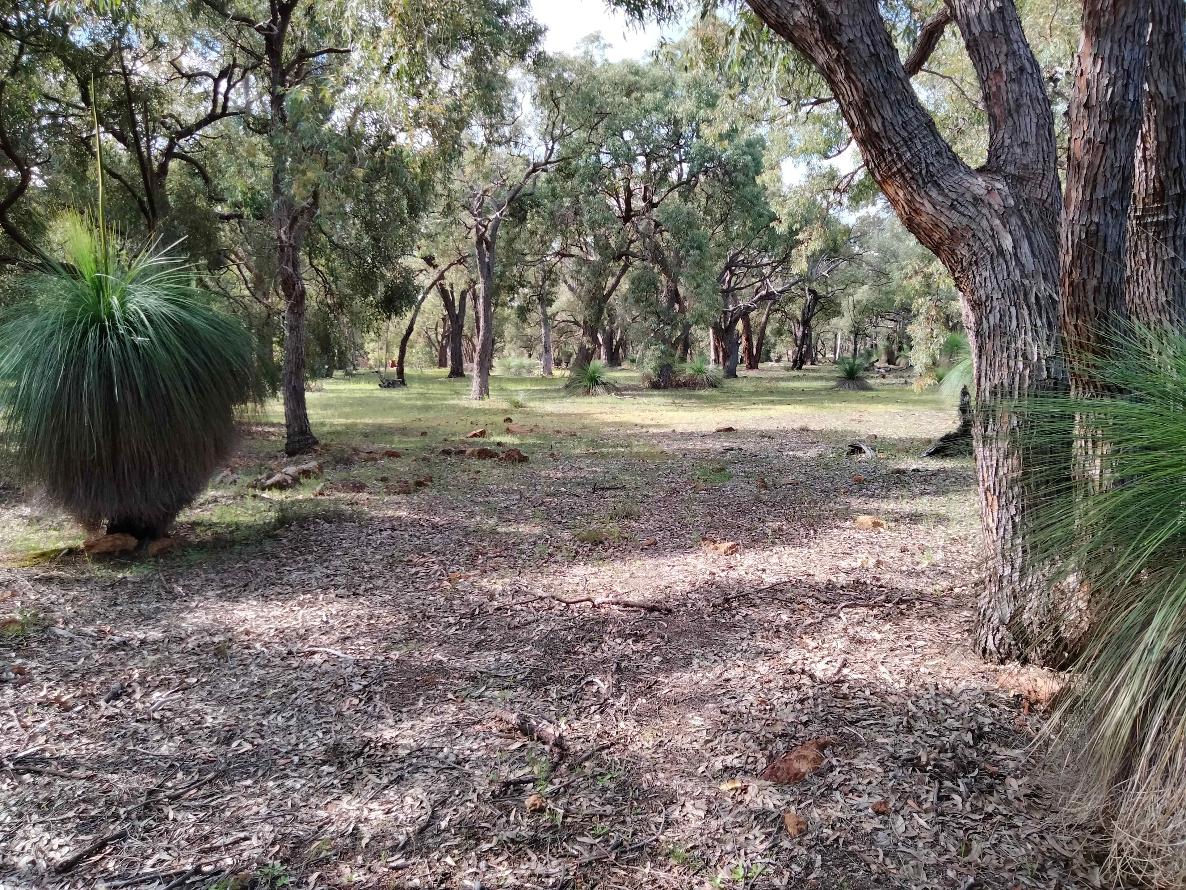 The entrance to Horse Paddock camp