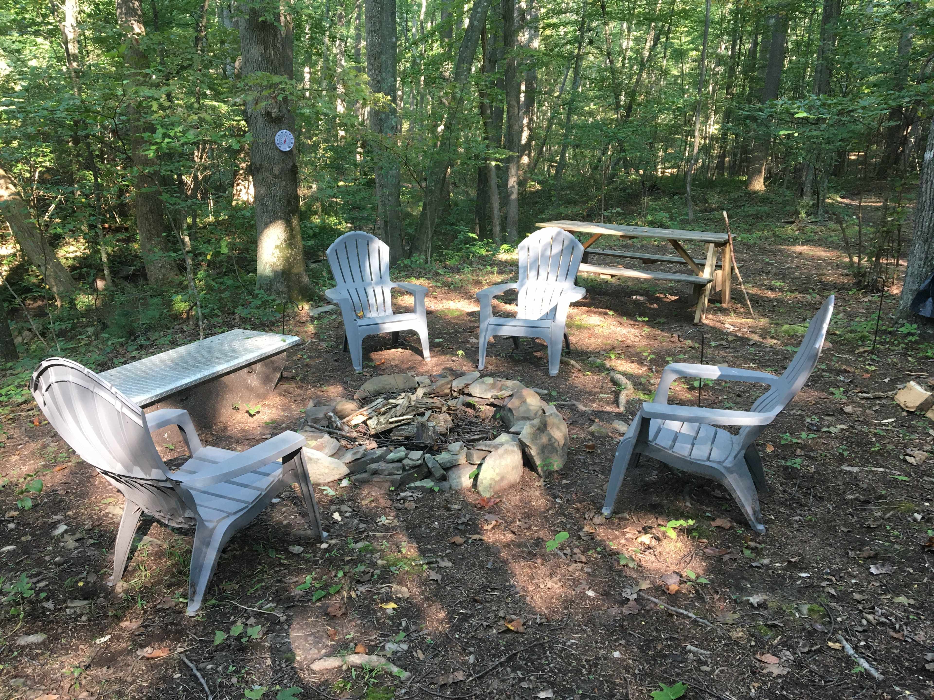 The fire ring and seating.