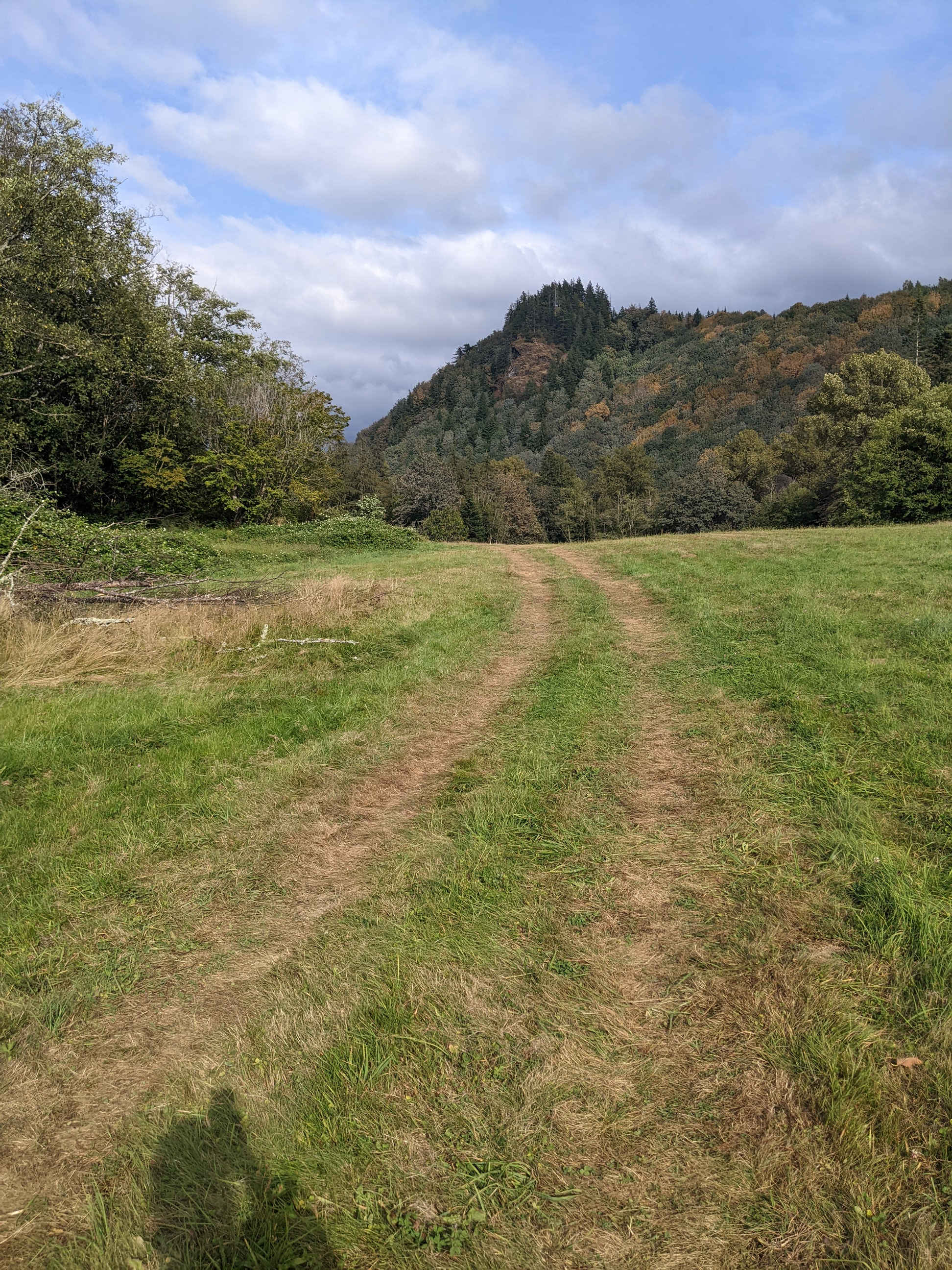 The road up to the field can be a bit hard to spot from the paved road. 