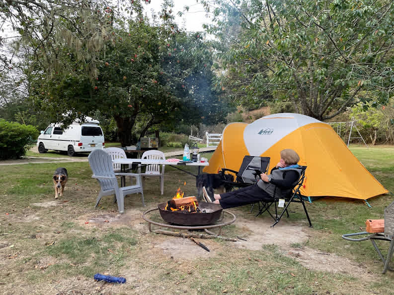 Firewood galore for that perfect campfire