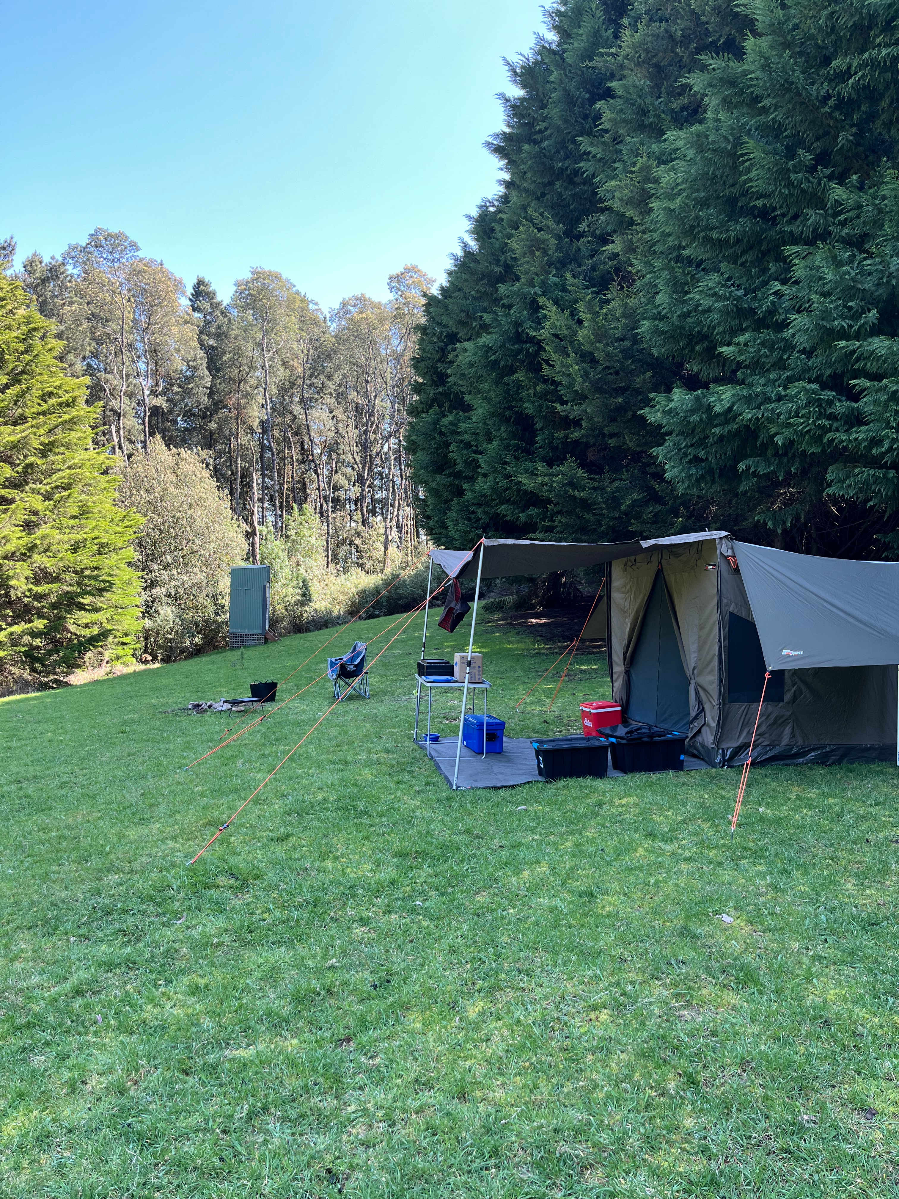 Waldheim - Our Home in the Forest