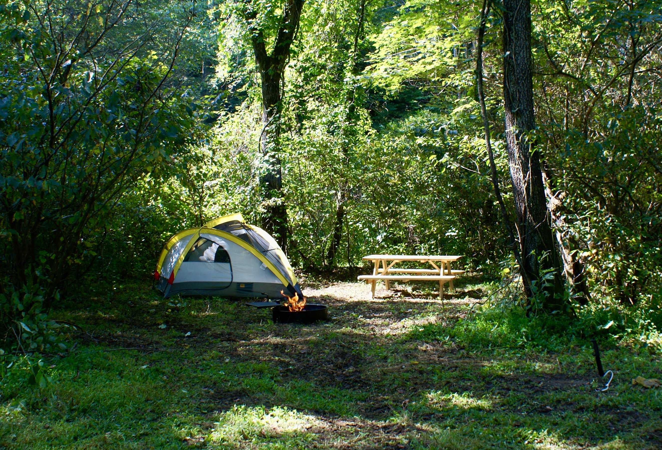 Dappled Den is a tree sheltered enclave with room for 1 M/L tent or two small tents in close proximity (pictures here do not adequately show depth) 