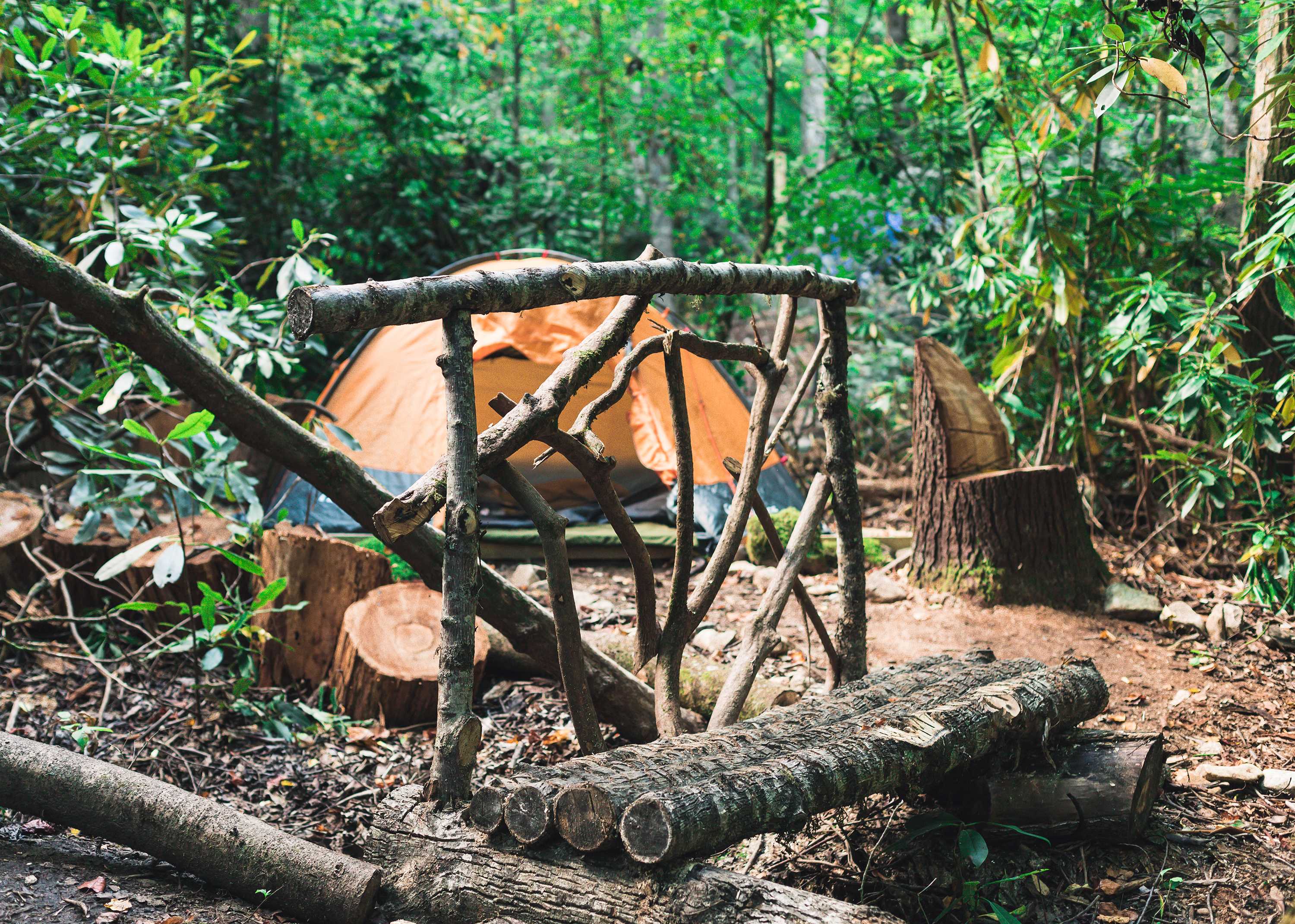 Creekside Camping at Rose Bay