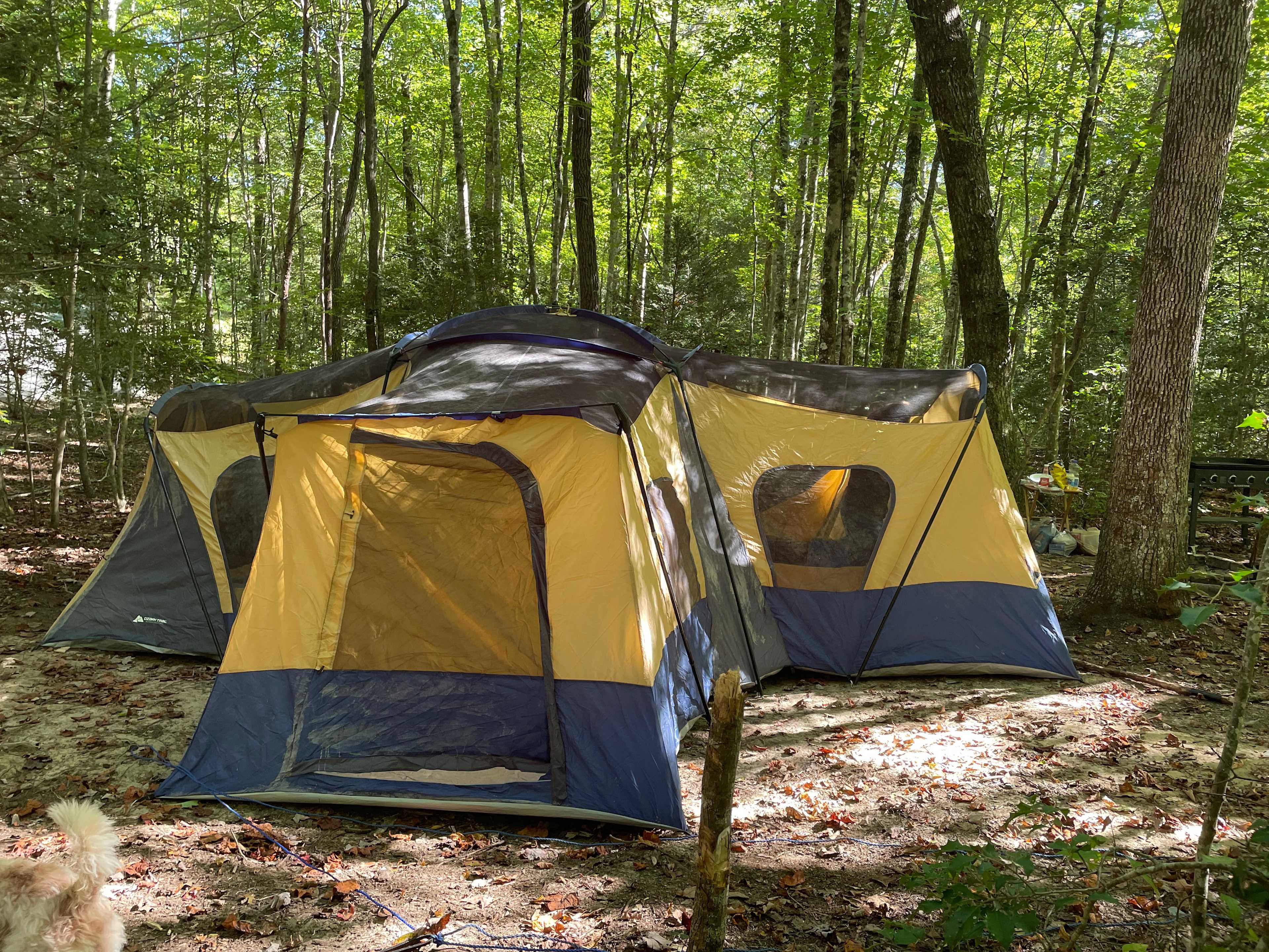 Greeter Falls Campground
