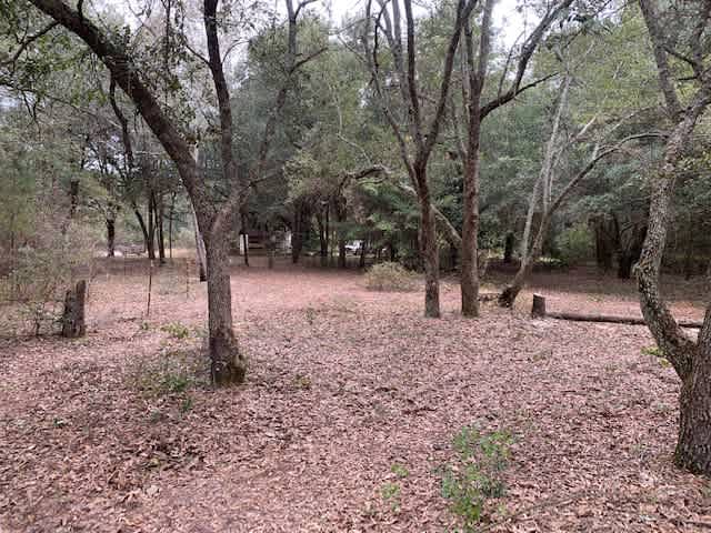 Too Many Oaks Plantation