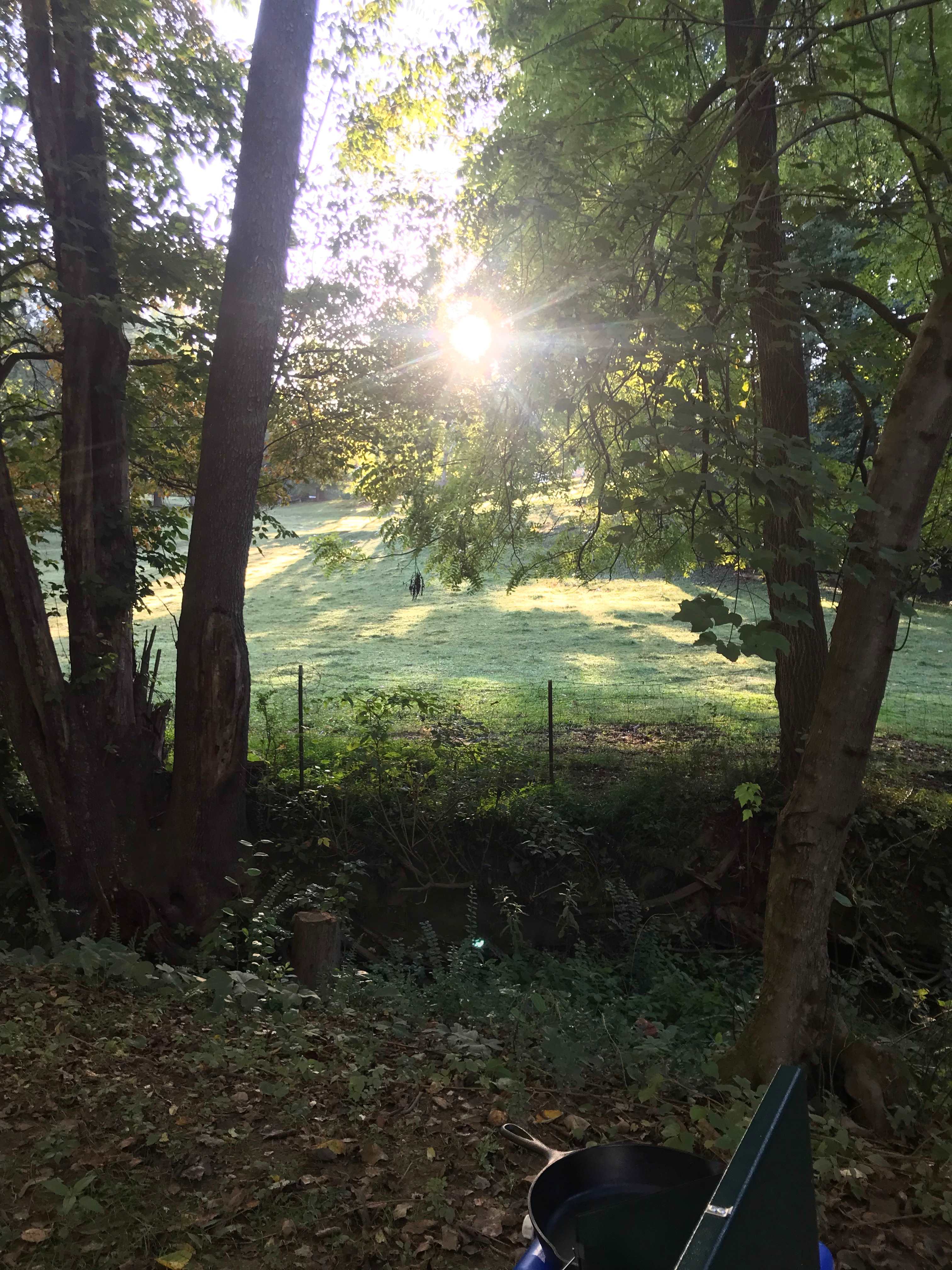 Candy Mountain Goat Farm