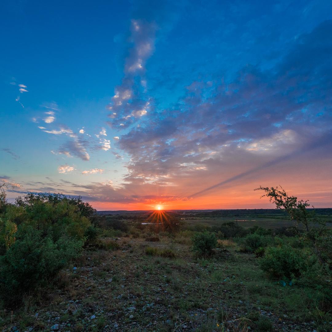 Phrog and Munkey Camping