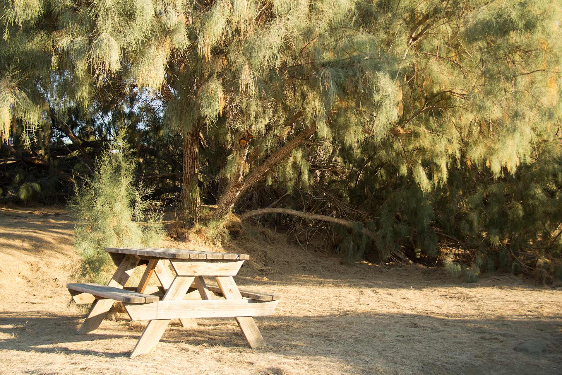 Mercey Hot Springs Resort