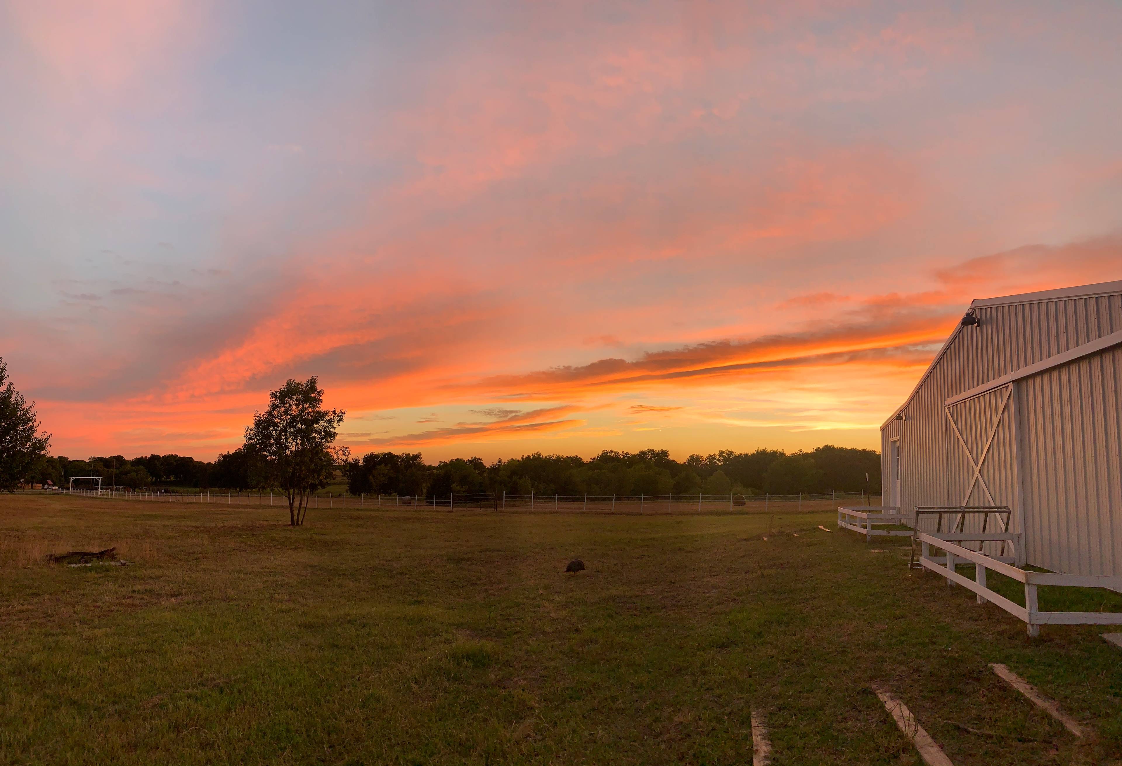 Peaceful Family Farm