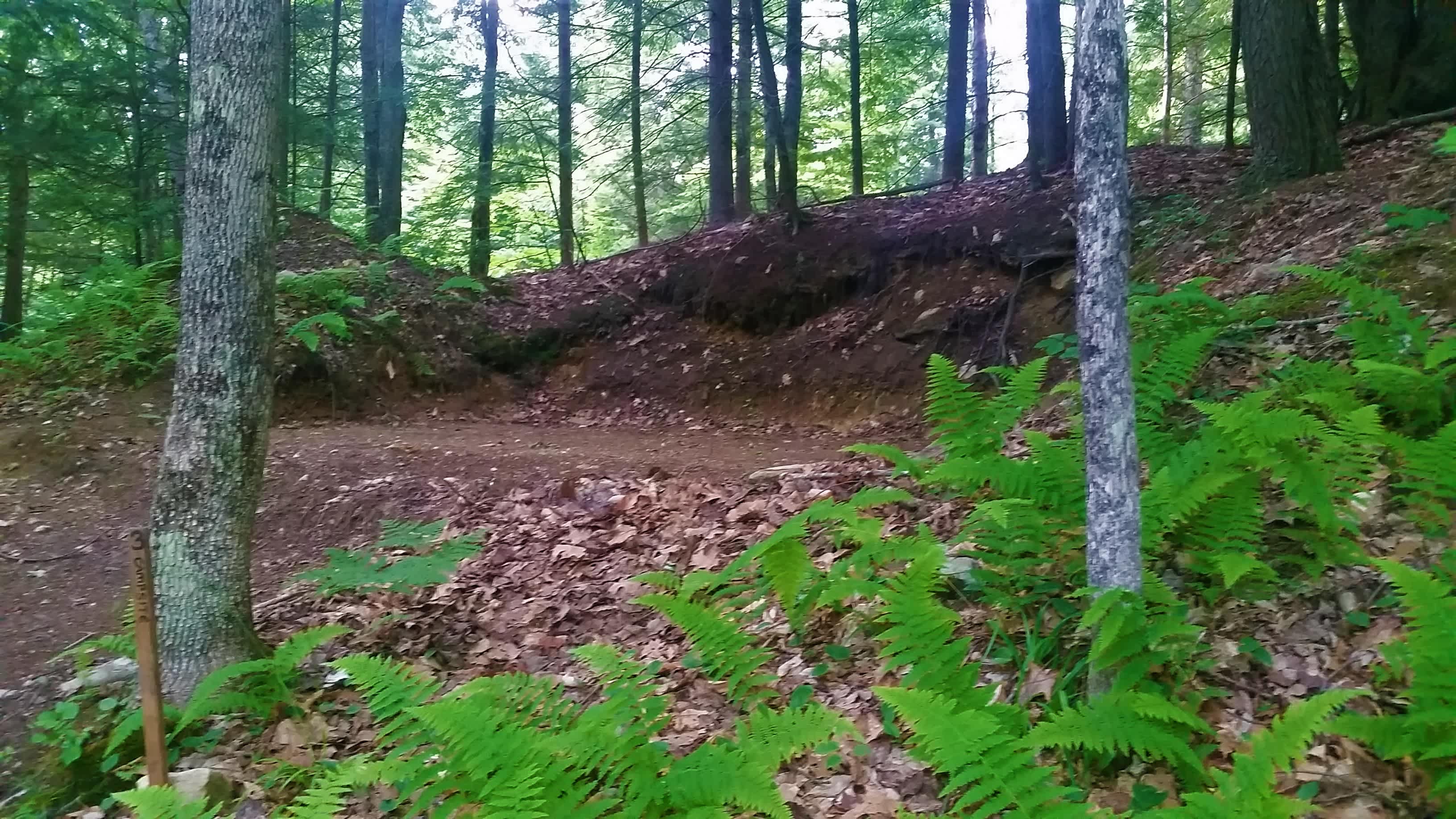 Site 3 is tucked into a secluded hillside.
