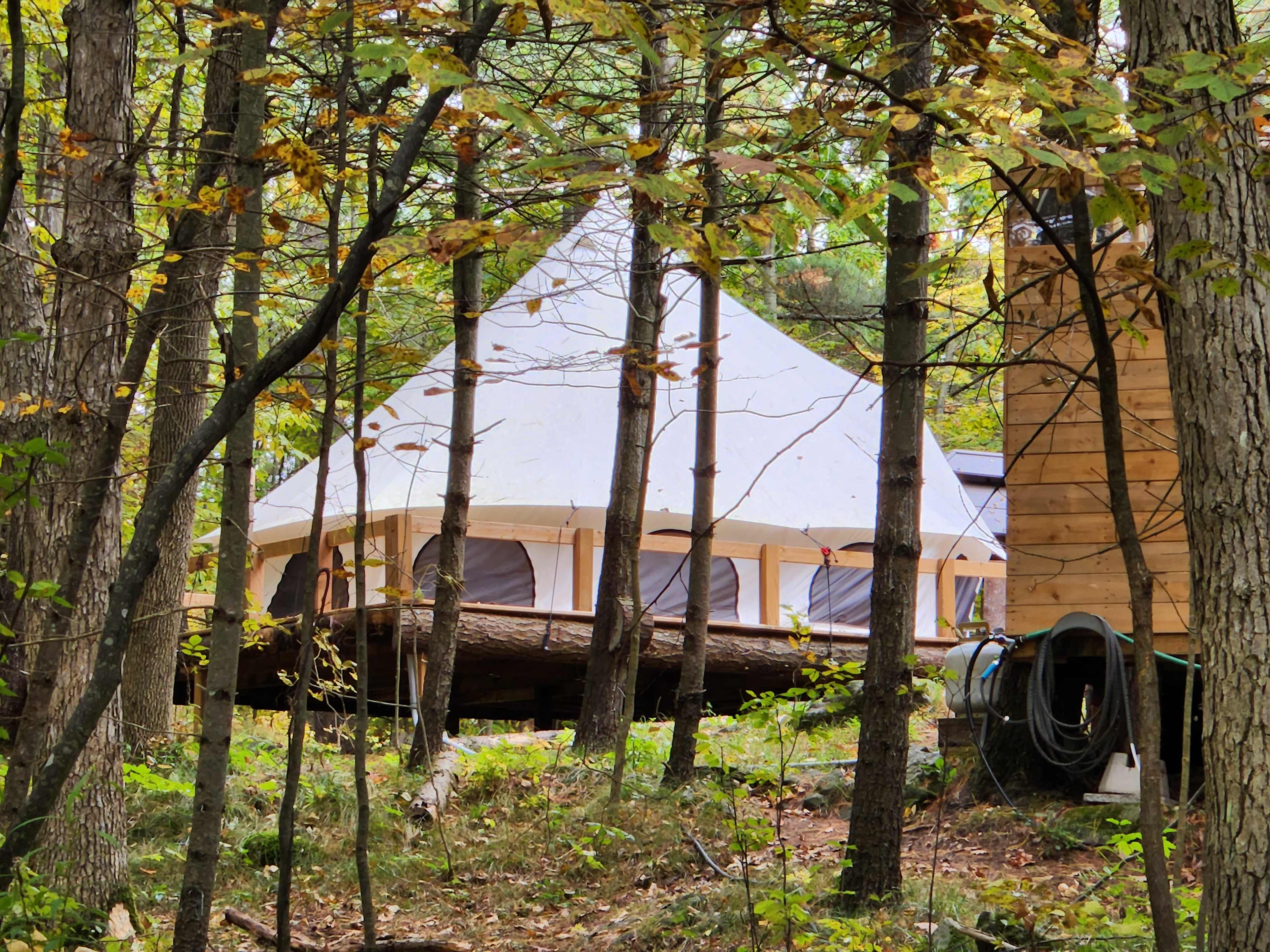 Glamorous Camping in the Woods