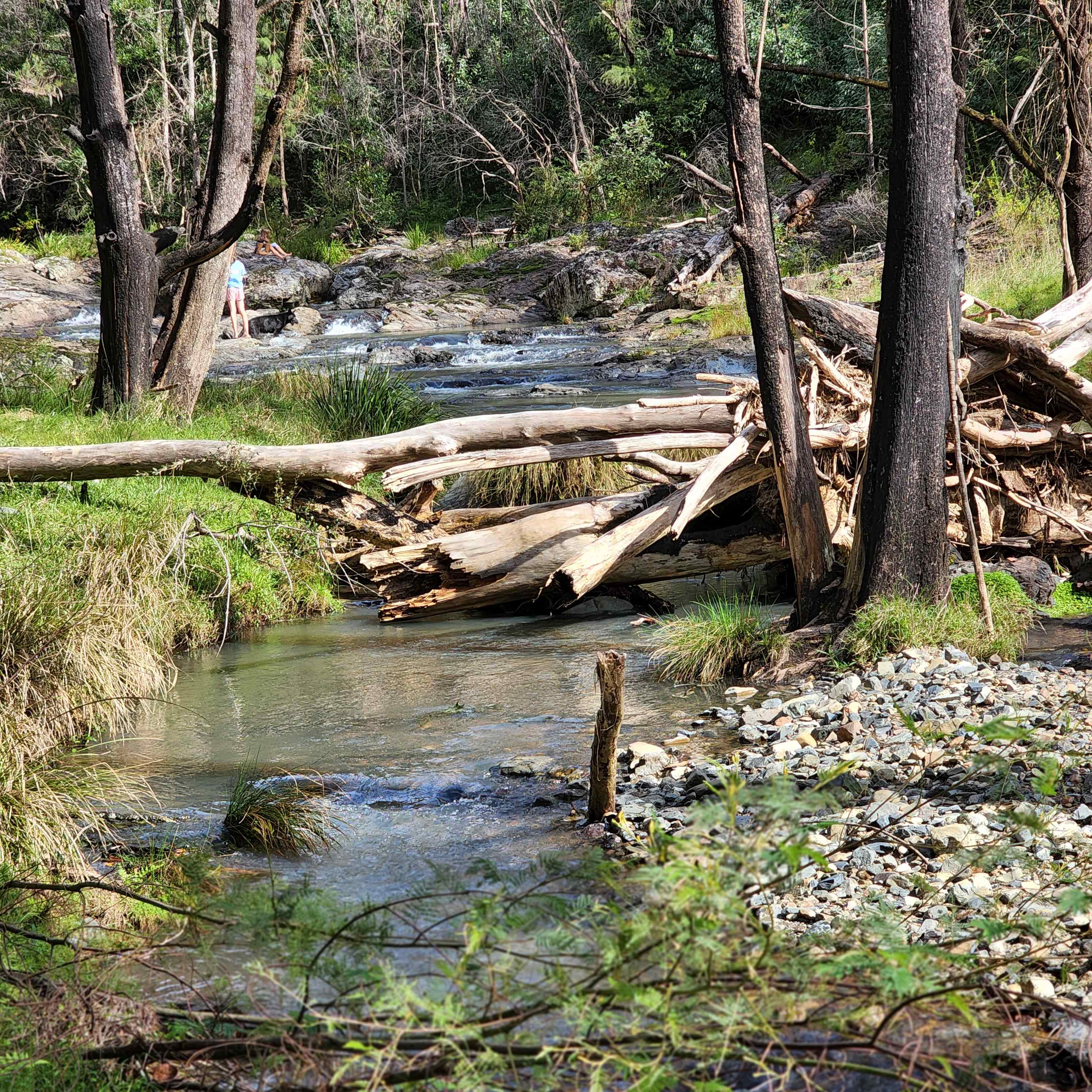 Bandicoot Bend