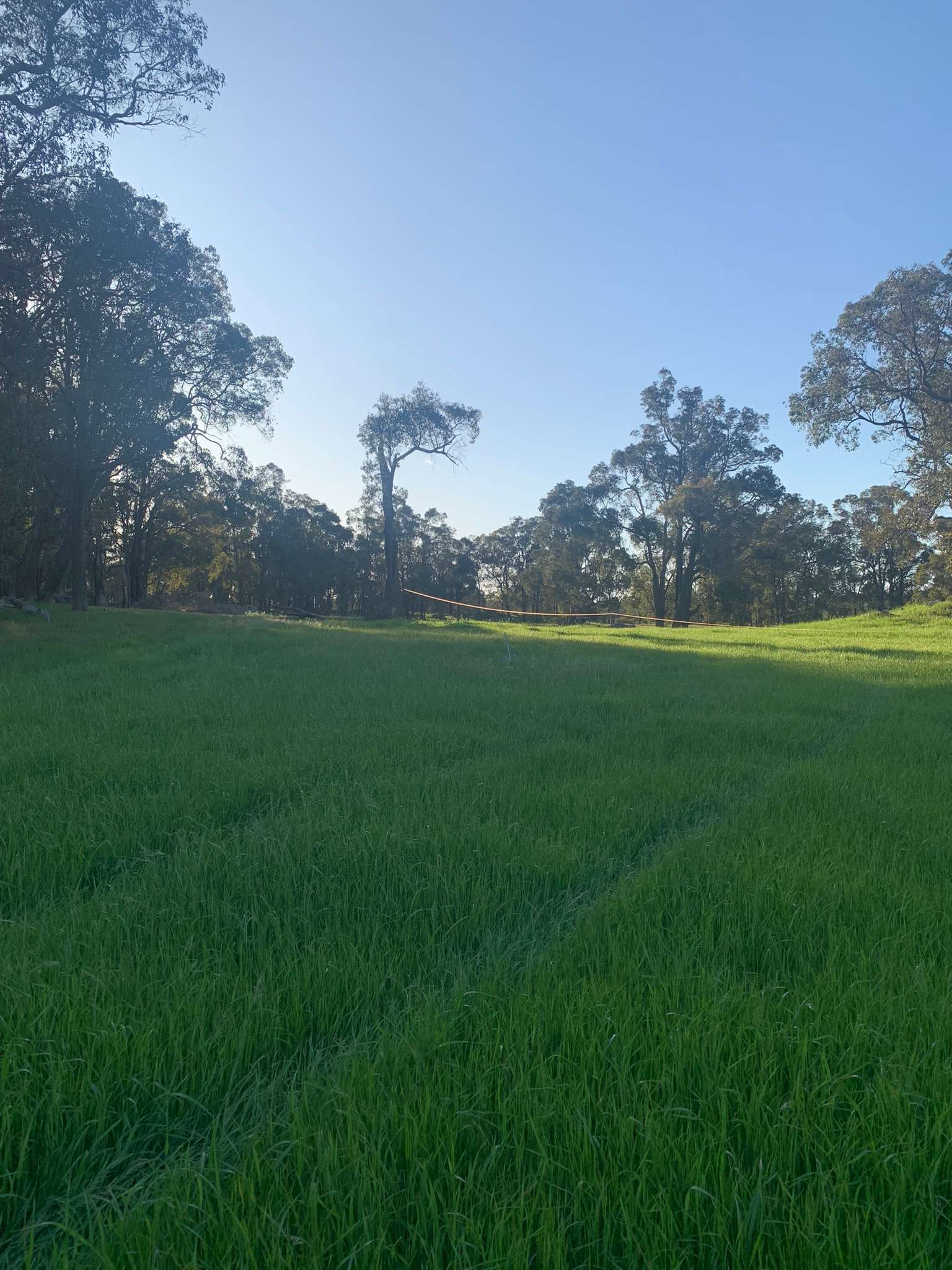 Blackwood River Estate