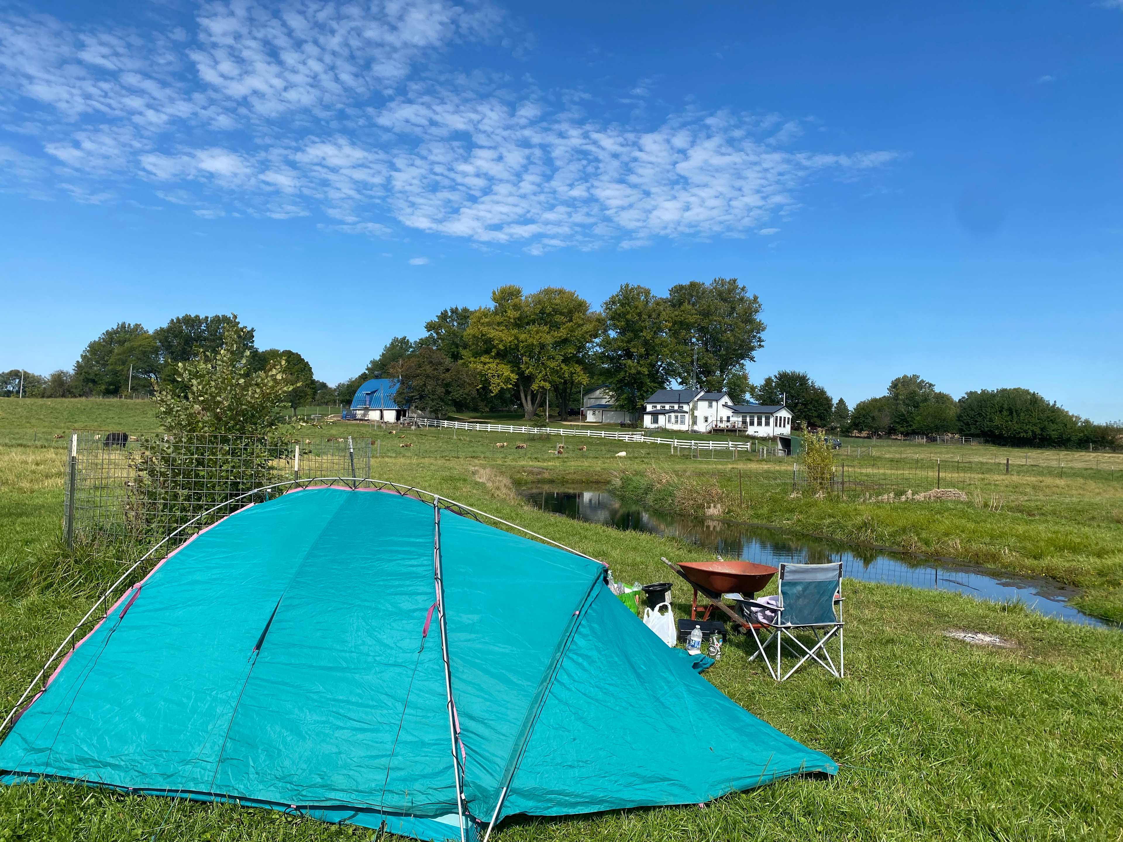 Picture of the site