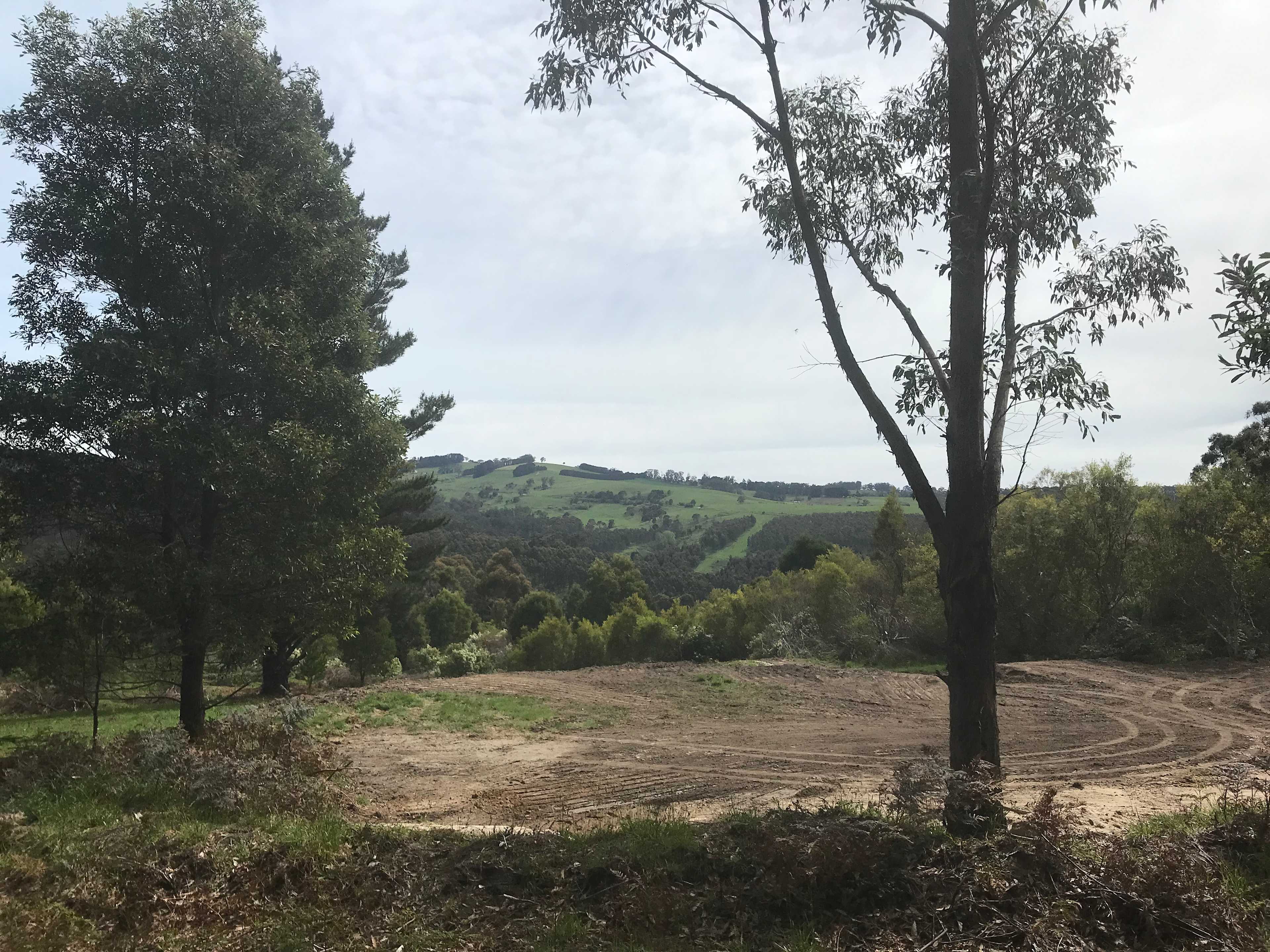 Site 4