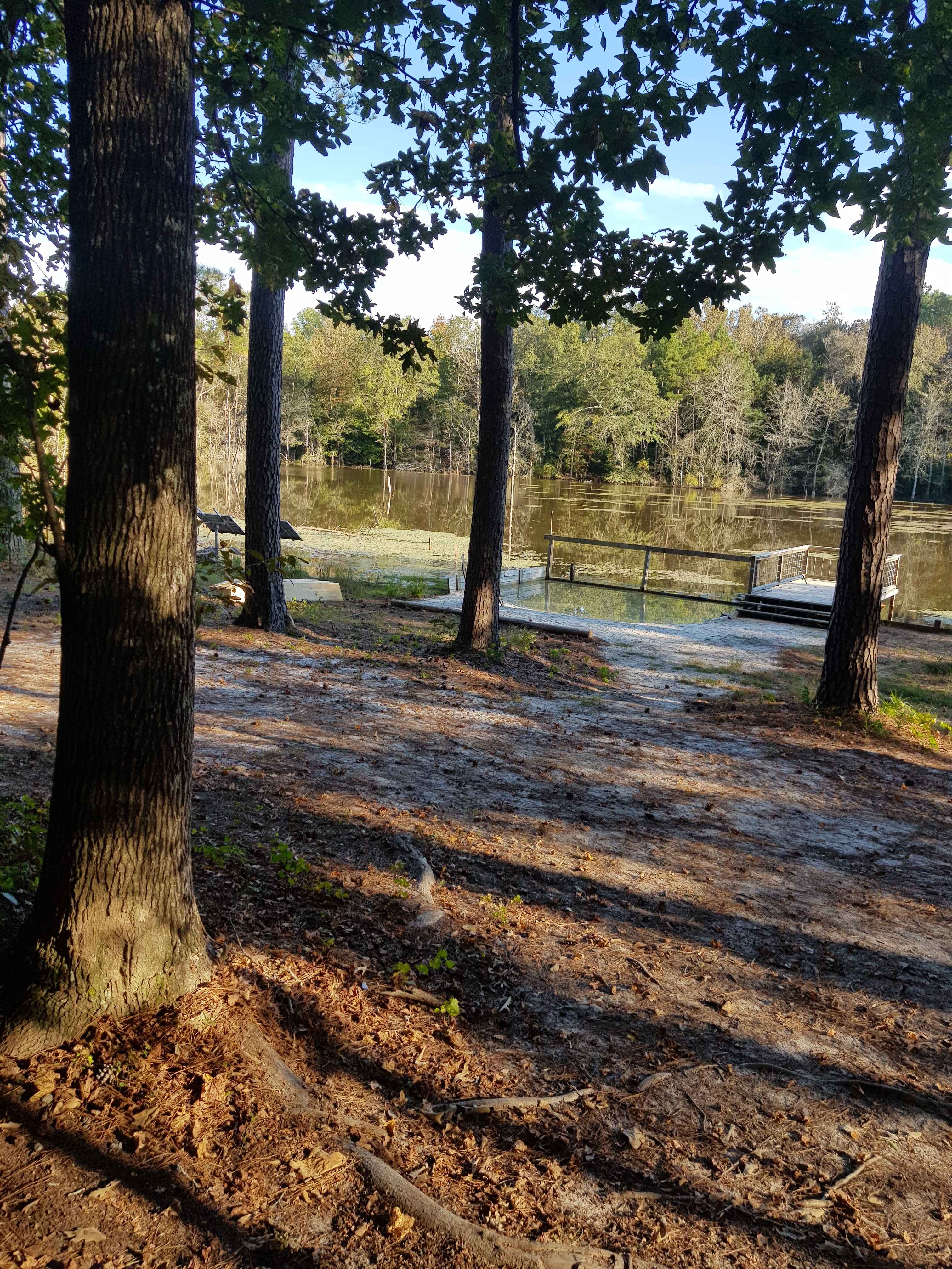 The Hollow: Off-Grid Paradise