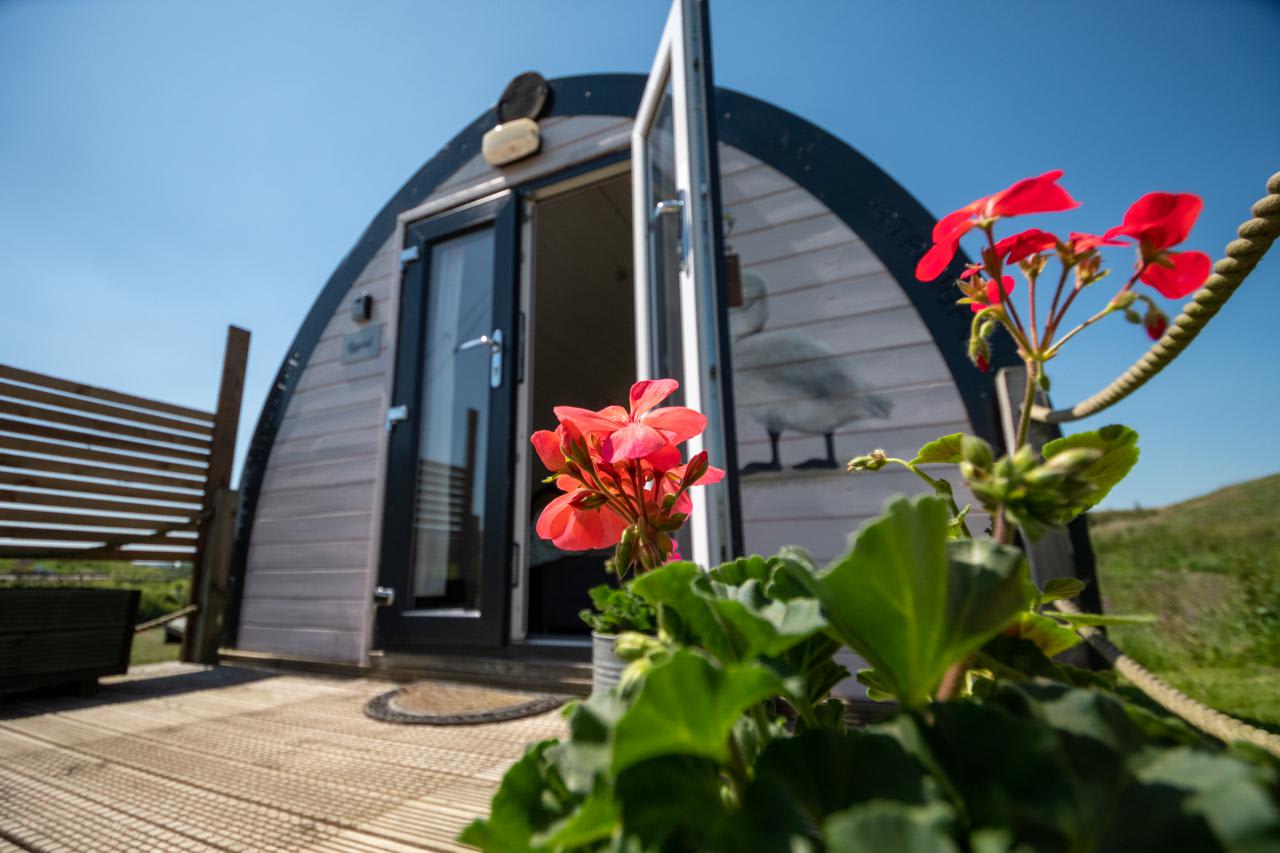 RHC & Glamping