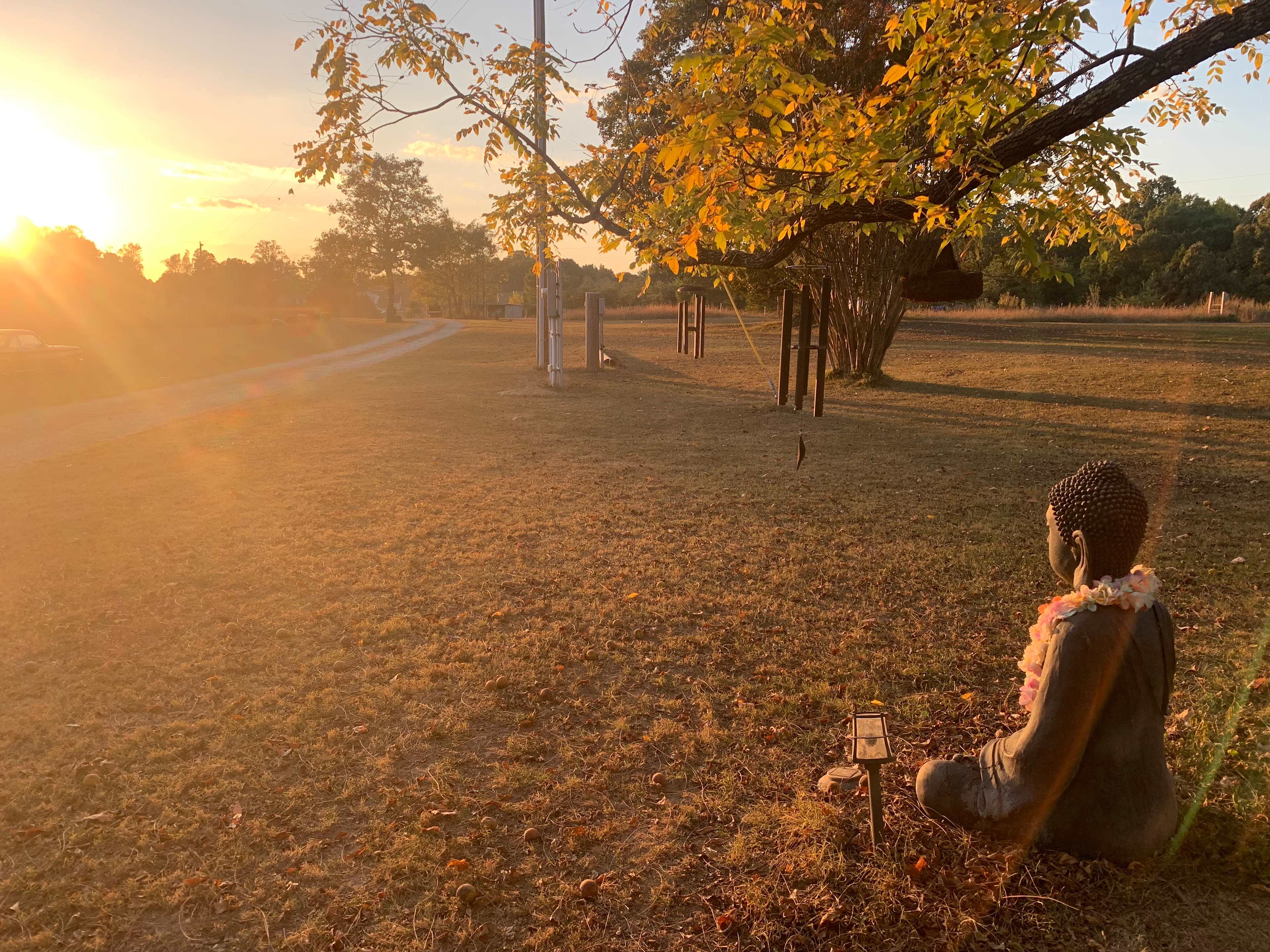 Sacred Dog Ranch