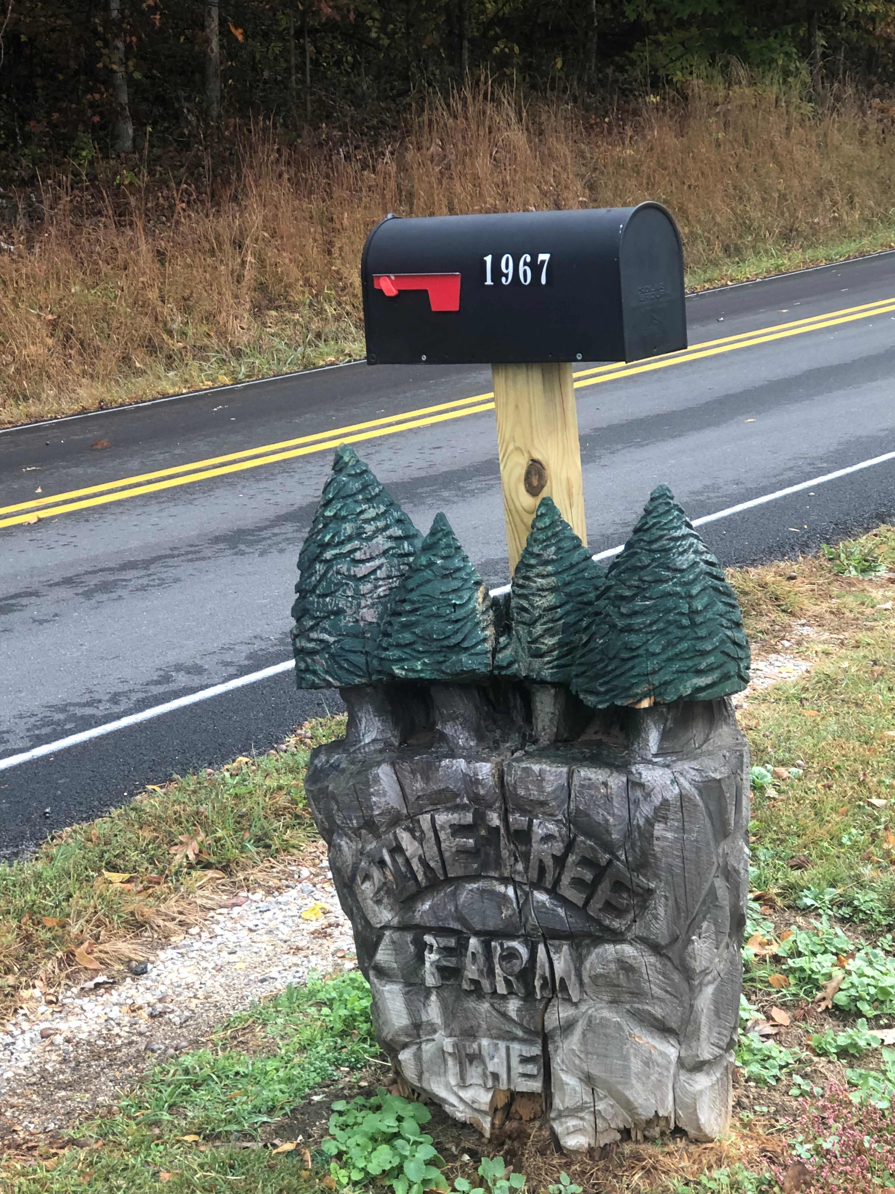 Pine Tree RV Park