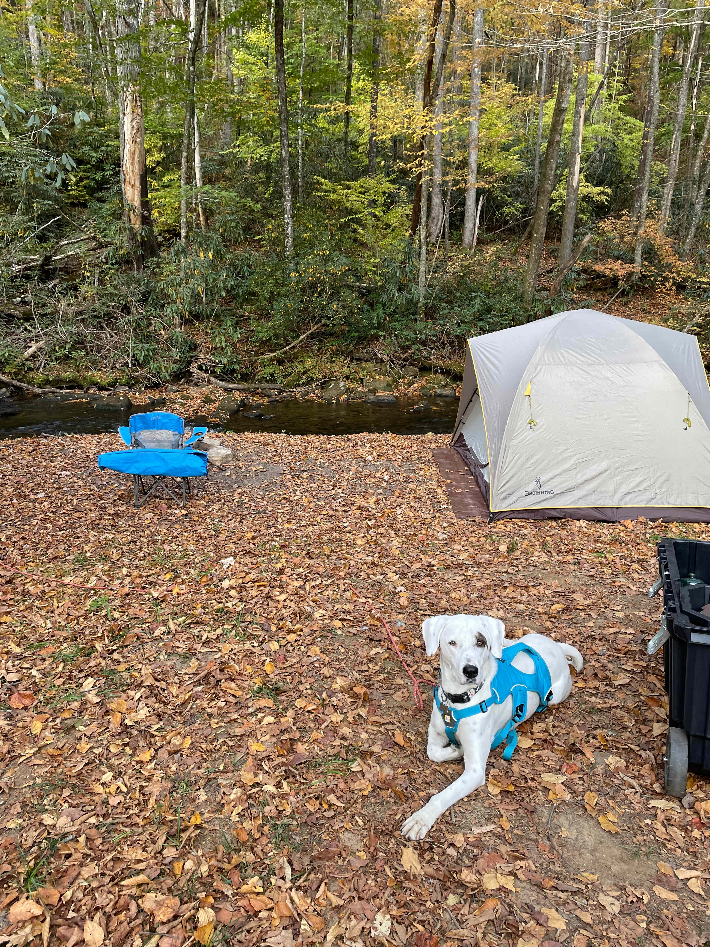 Campsite #6