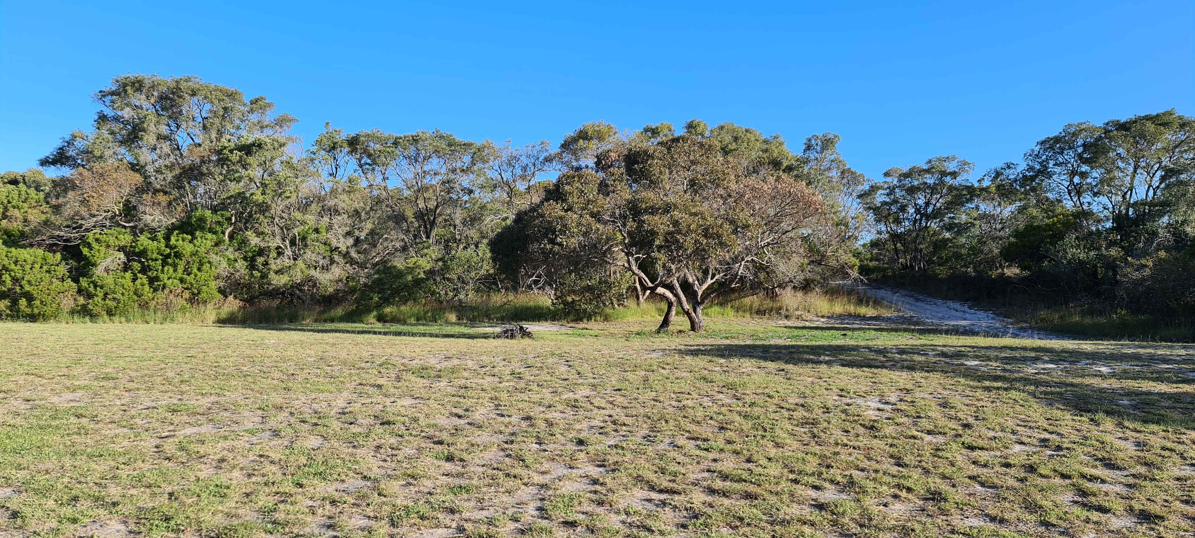 Toolibut Bush Camp