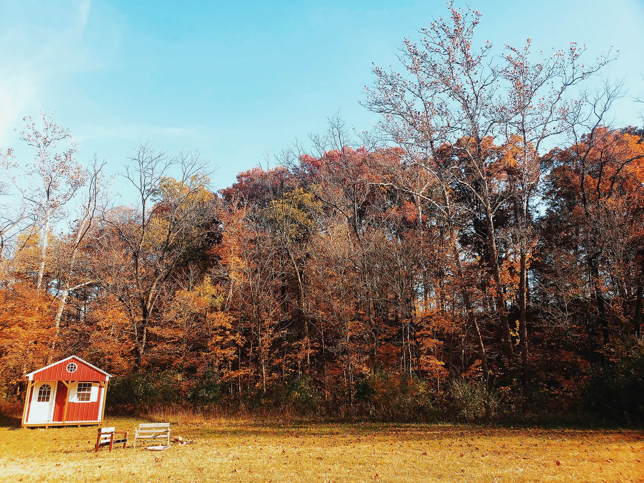 Coop Dreams Farm