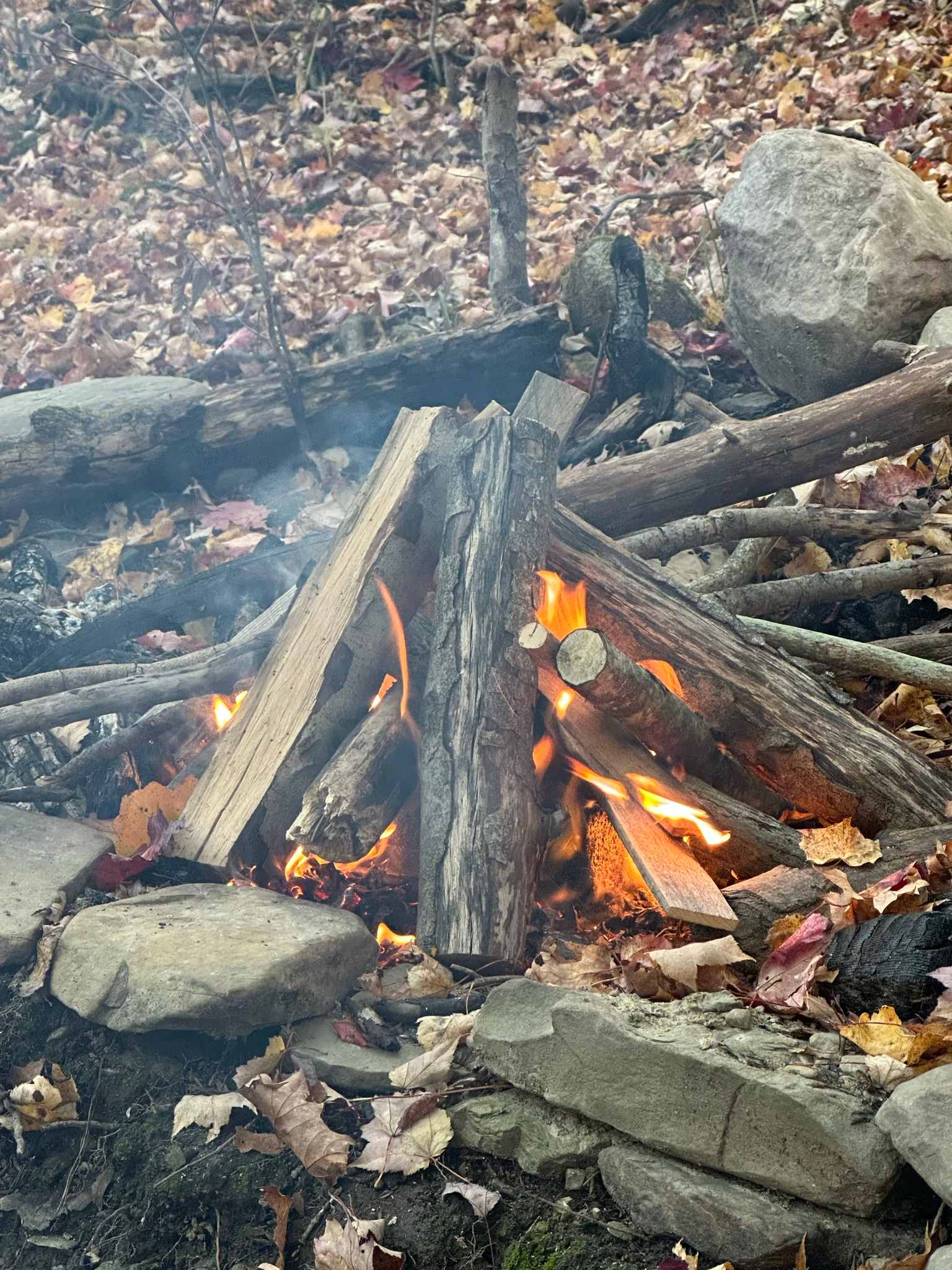 Stoney Goat Homestead