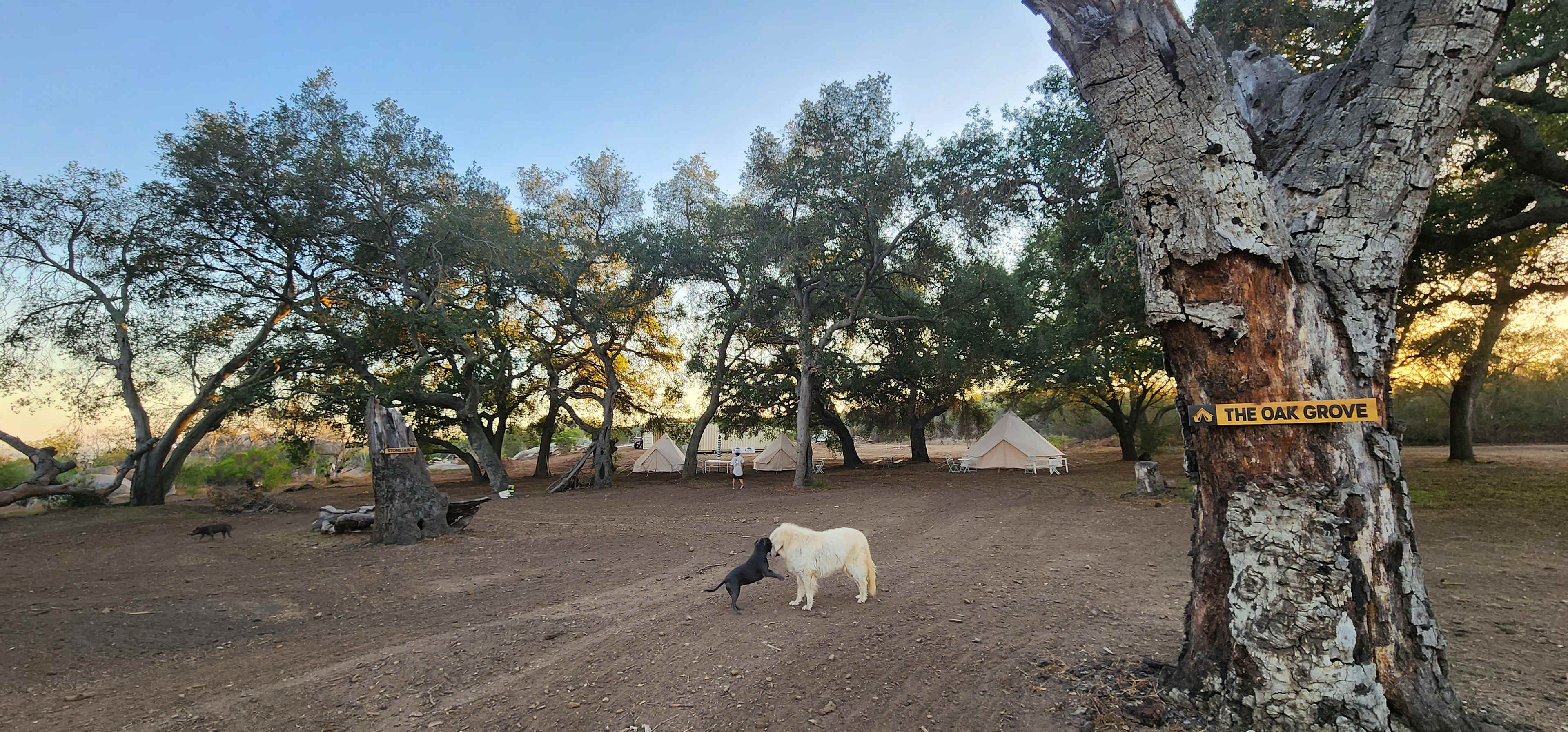 Splitrock Farm and Retreat