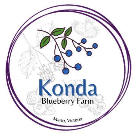 Secluded Konda Blueberry Farm